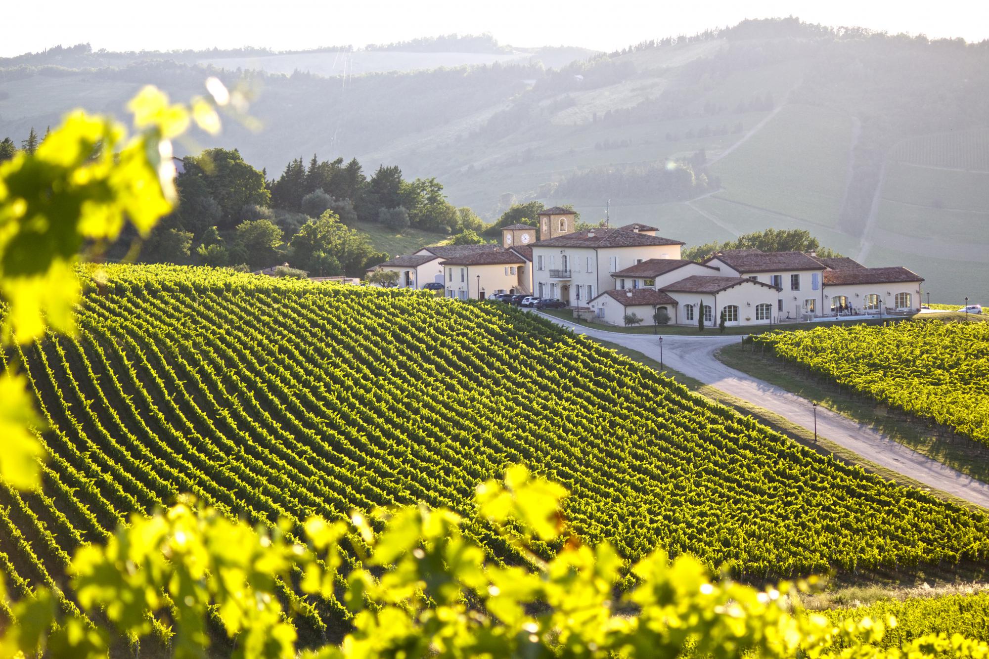 borgo conde wine resort ligging