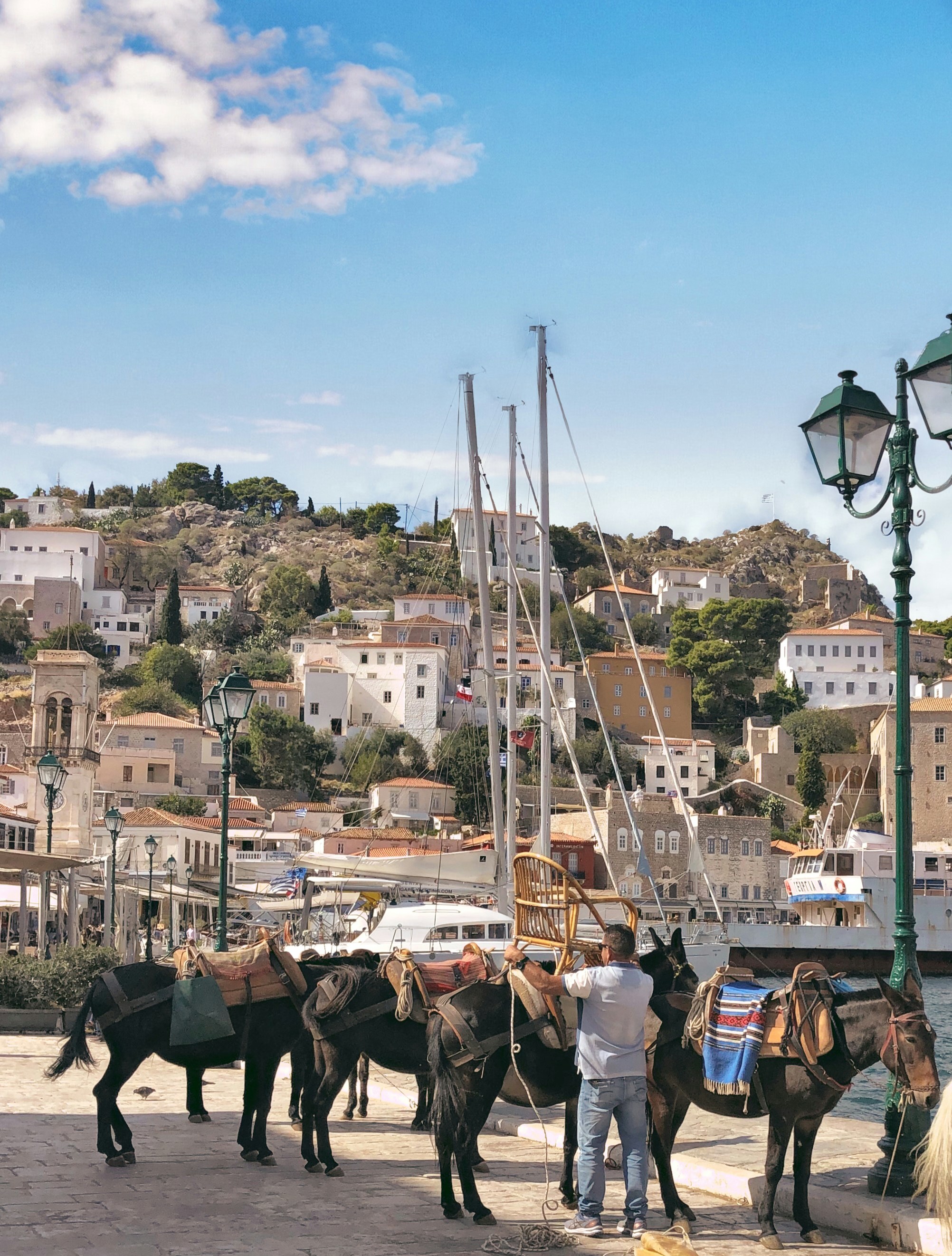 donkeys are still the main way of transport on the island of hydra ydra ydra greece