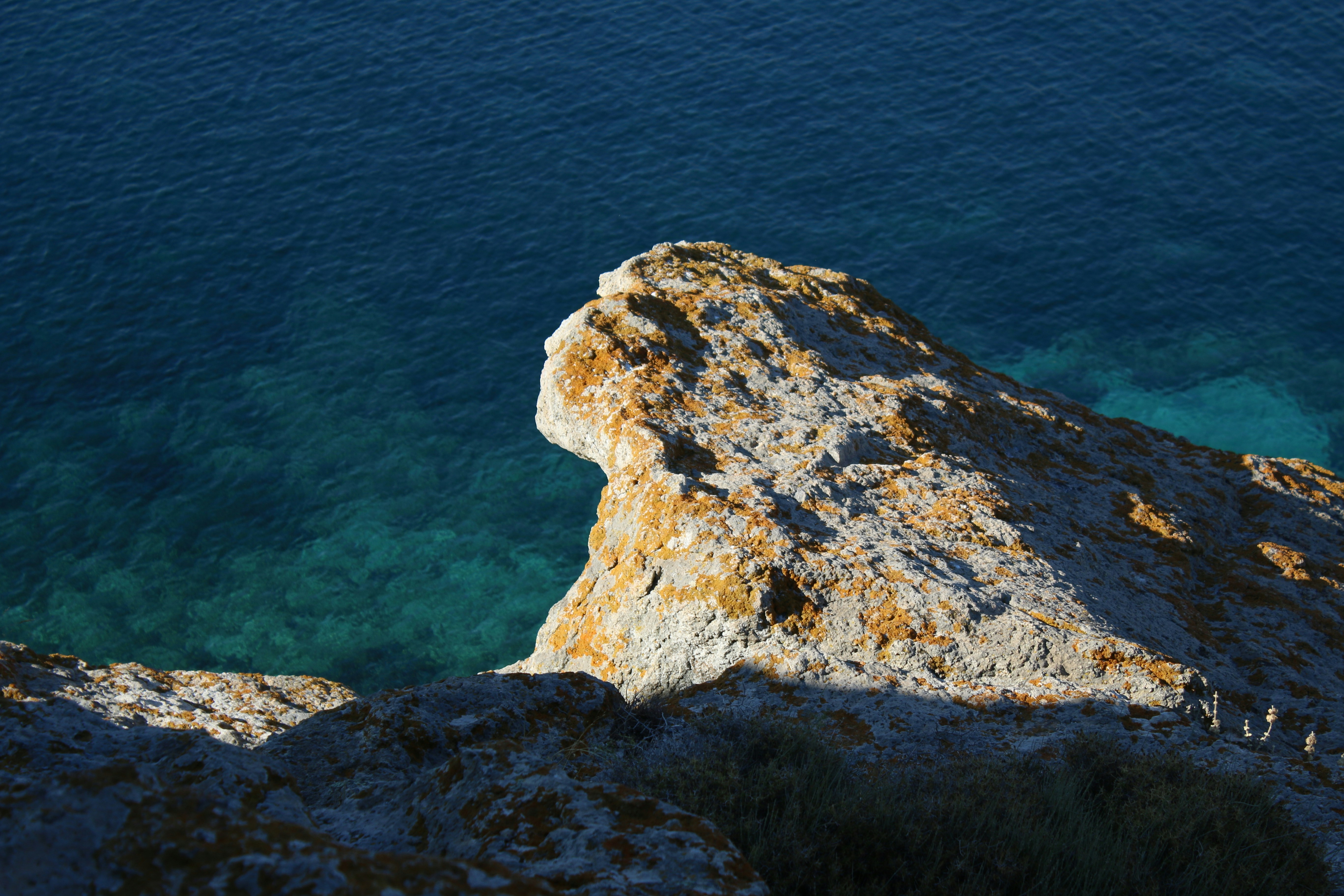 lichens patmos greece