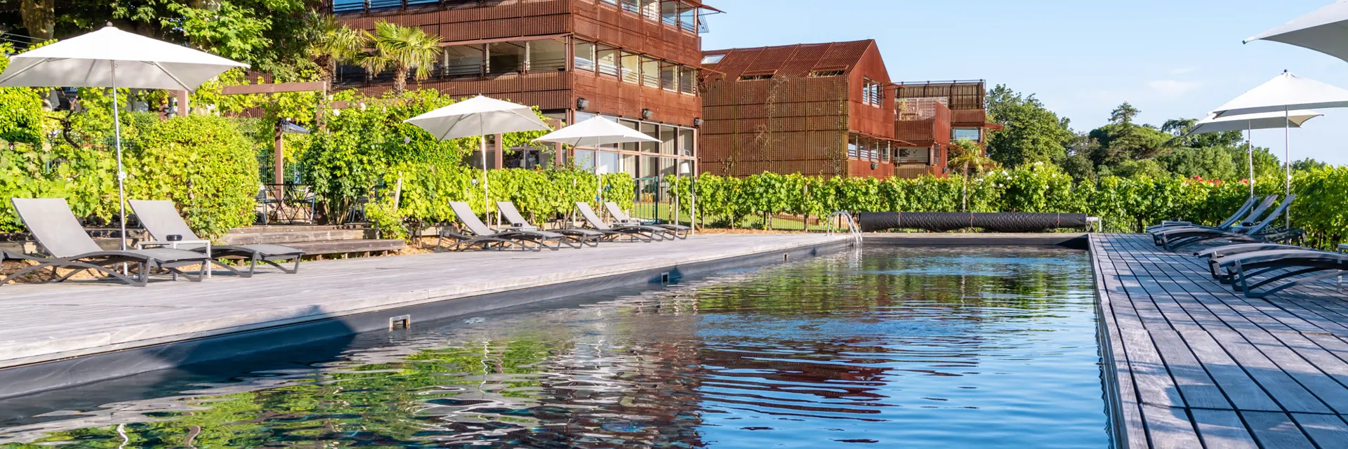 une piscine dans la vigne 3