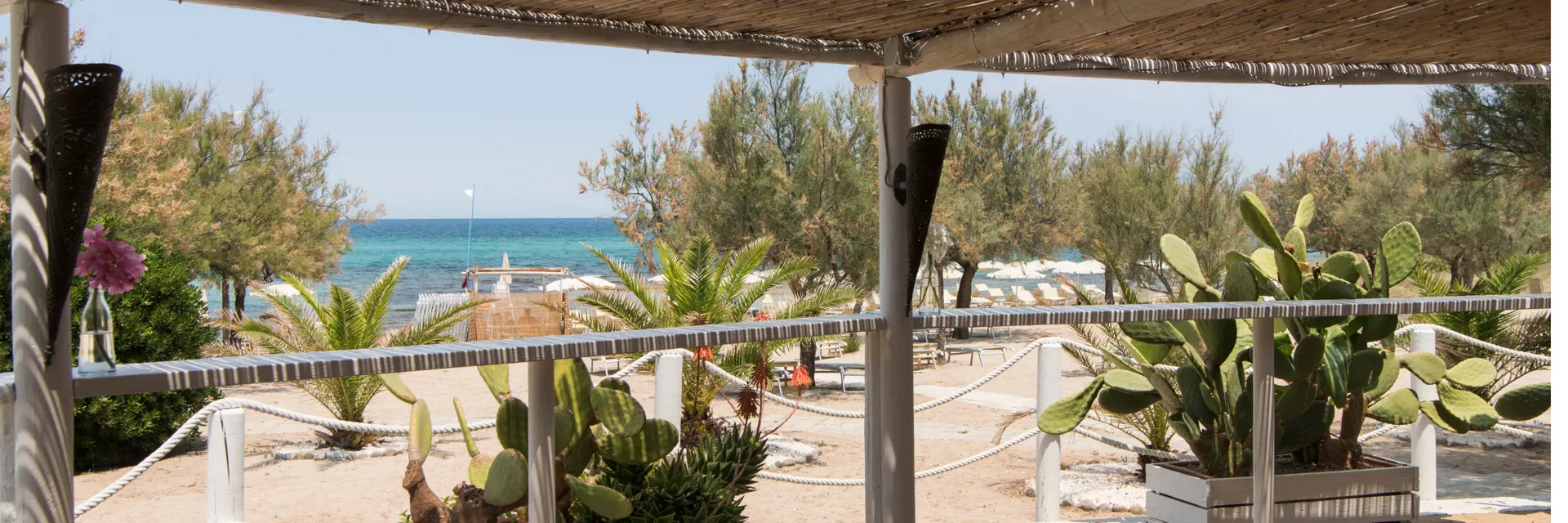 beach banner