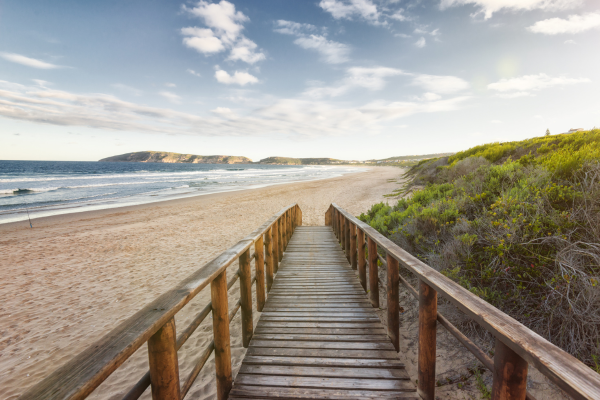 plettenberg bay