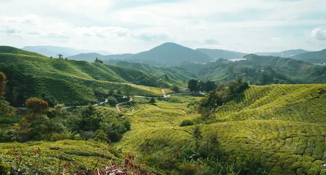 Points forts de la Malaisie