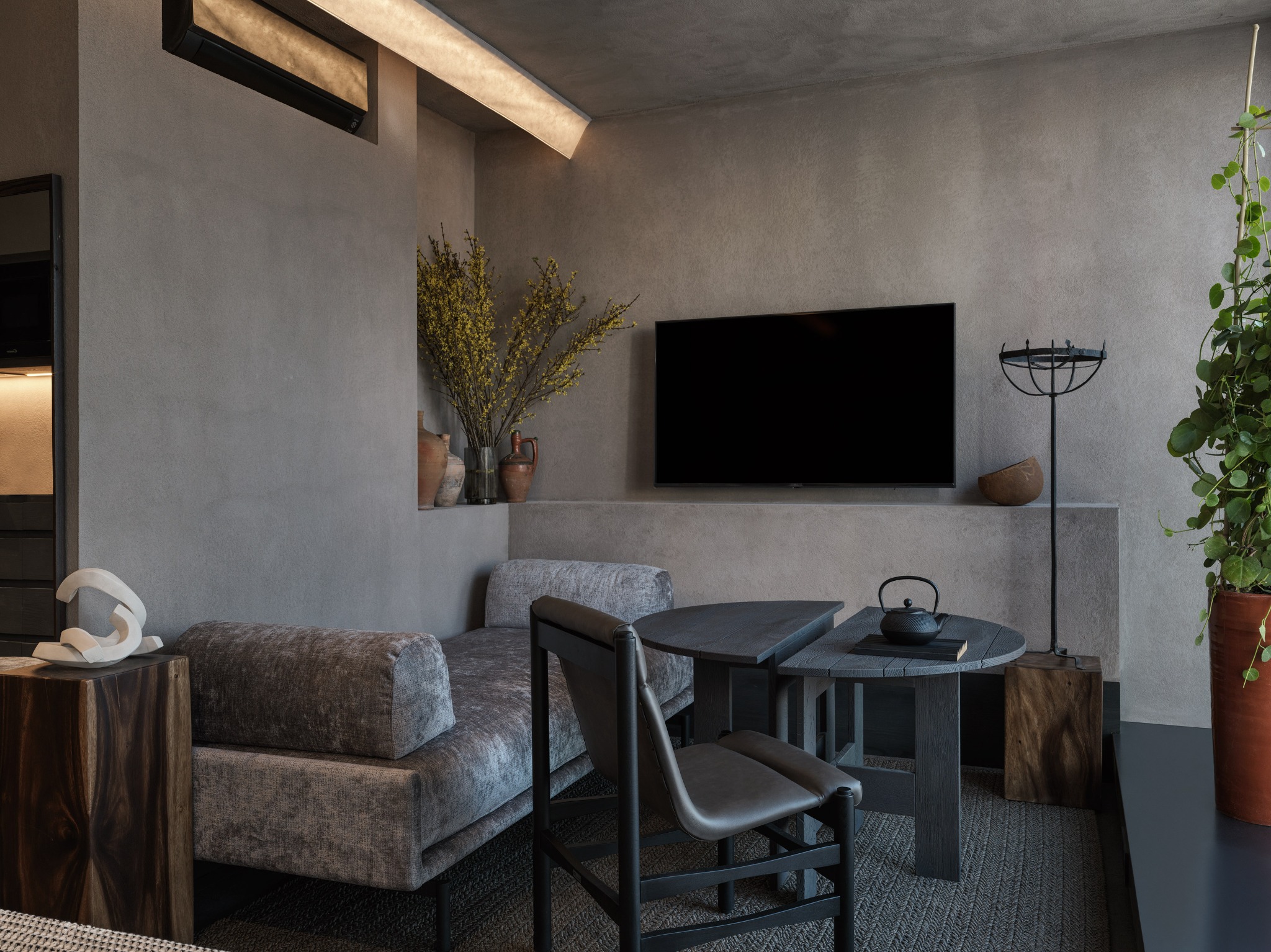 monastik living met tv caractere