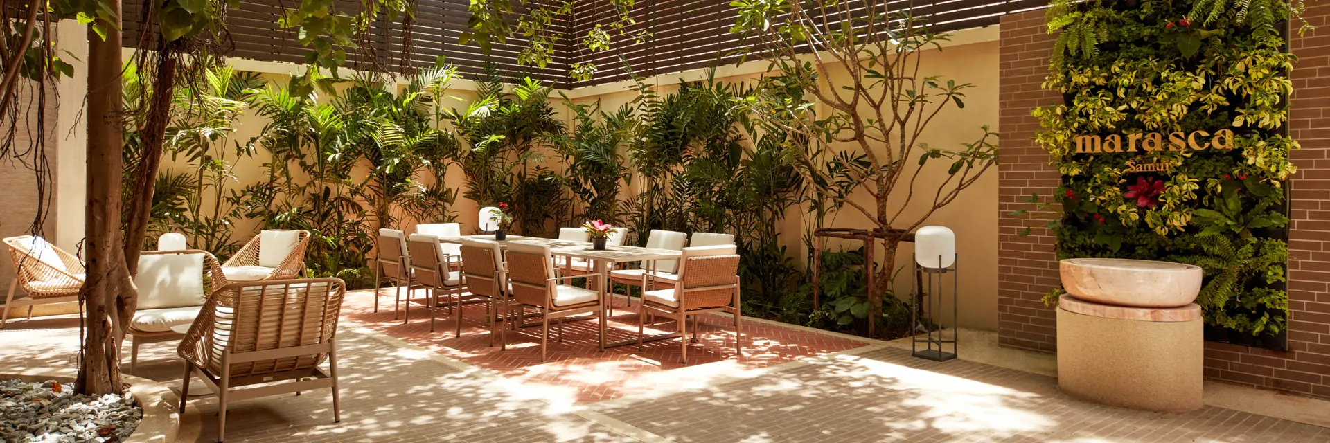 marasca samui restaurant