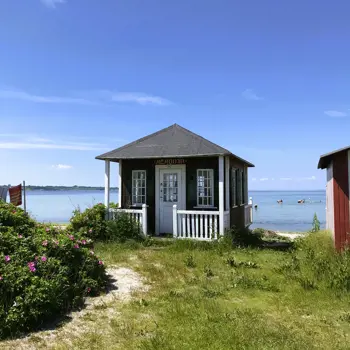 Voyage au Danemark : de Copenhague à la nature vierge de Funen