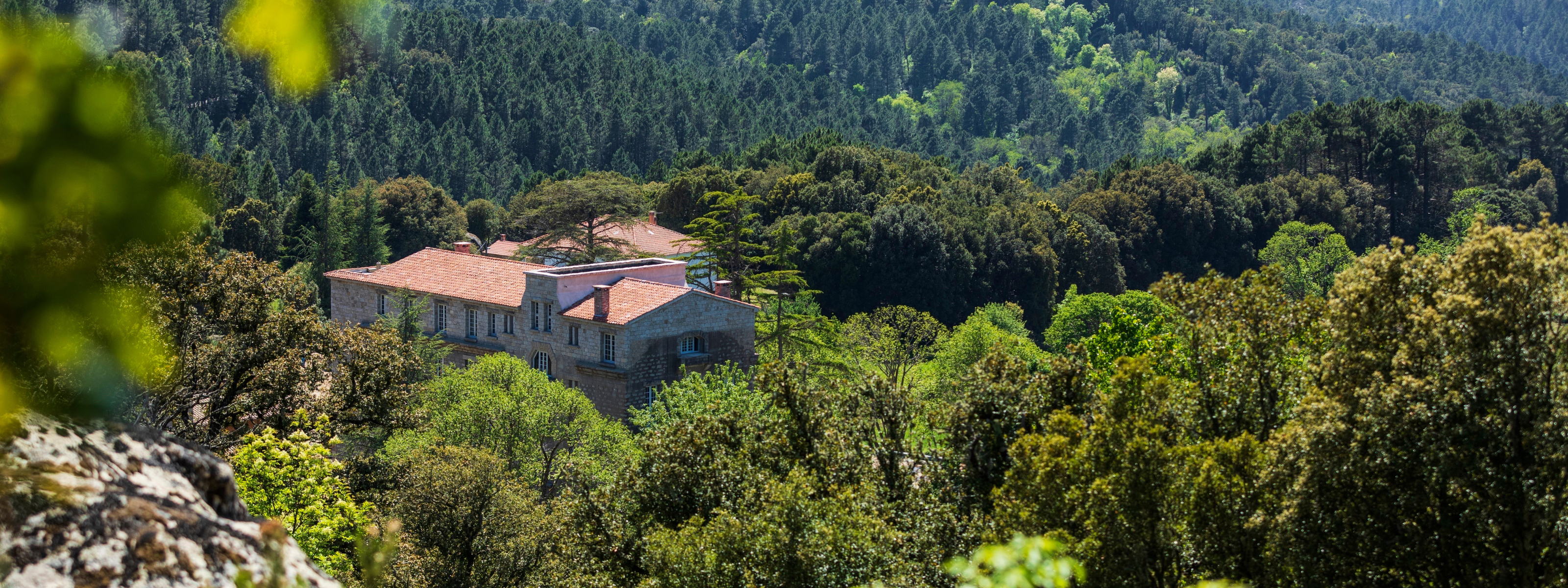 domaine le mouflon d or ligging