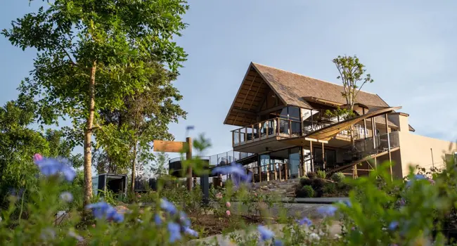 Marasca Khao yai
