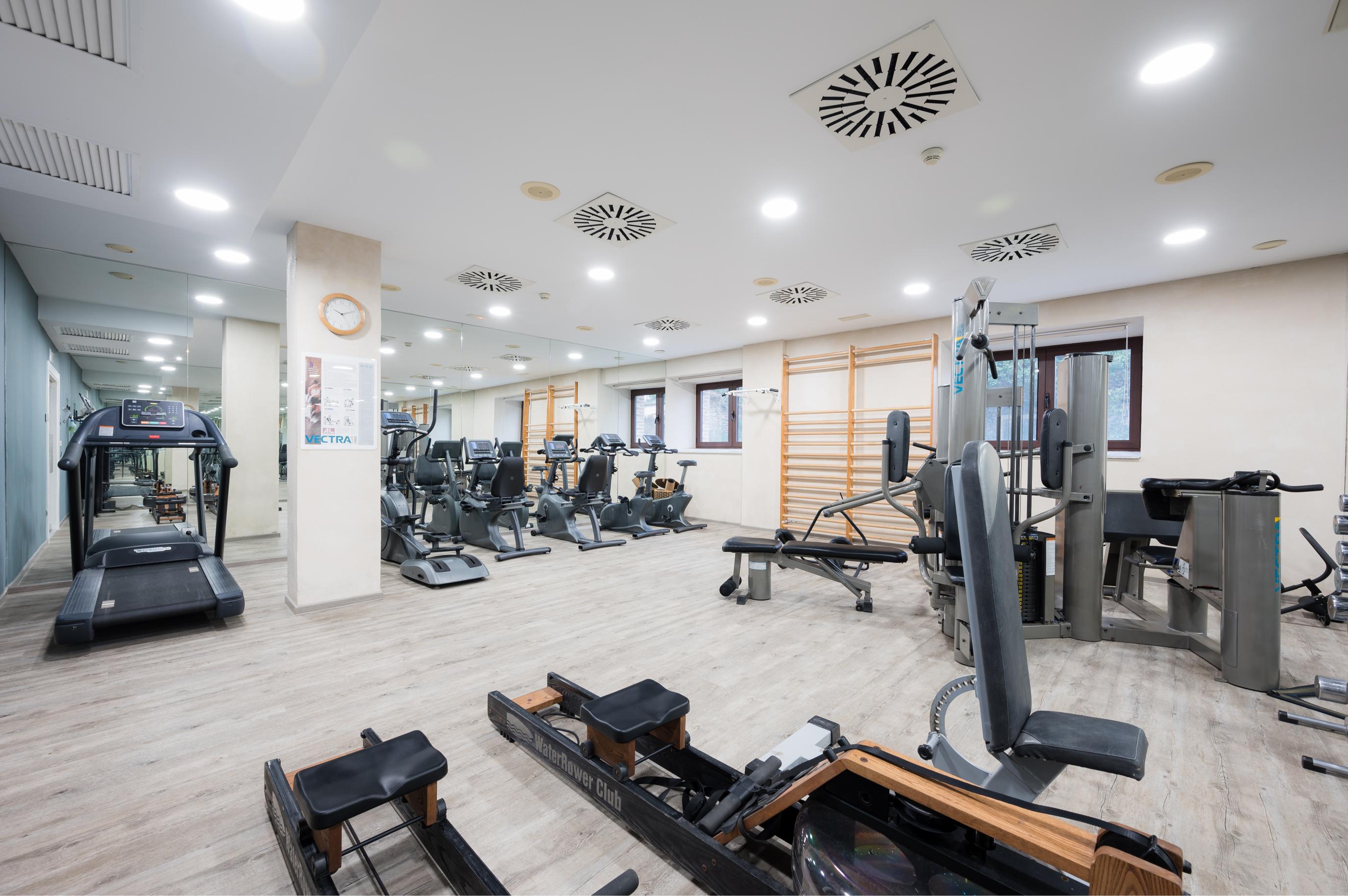 5 52 gimnasio
