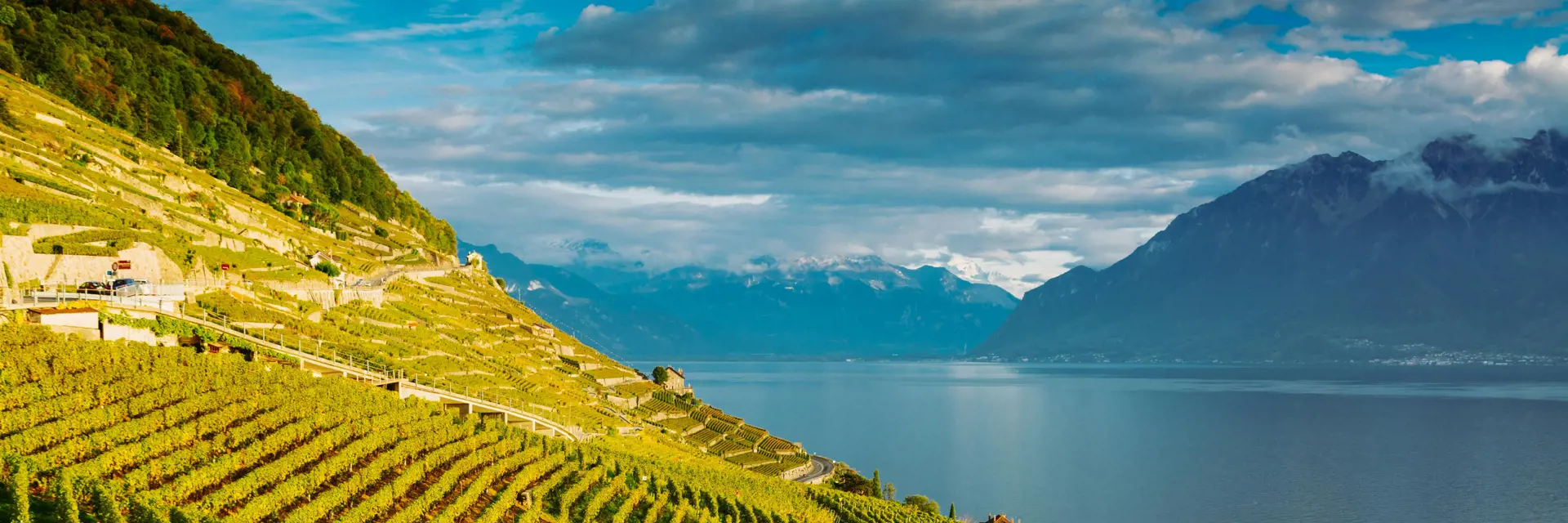 lausanne wijngaard banner