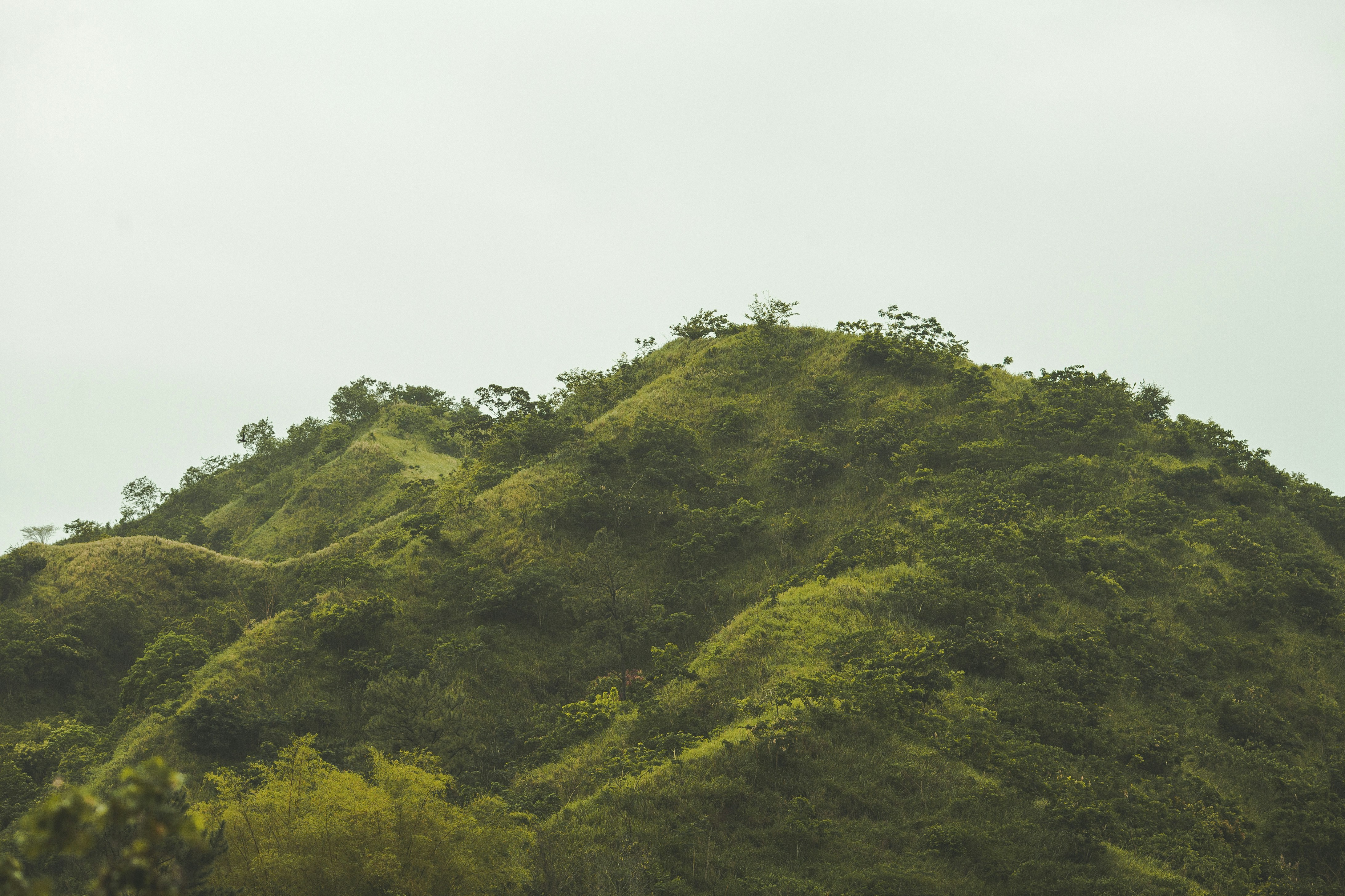 blue mountains jamaica 2