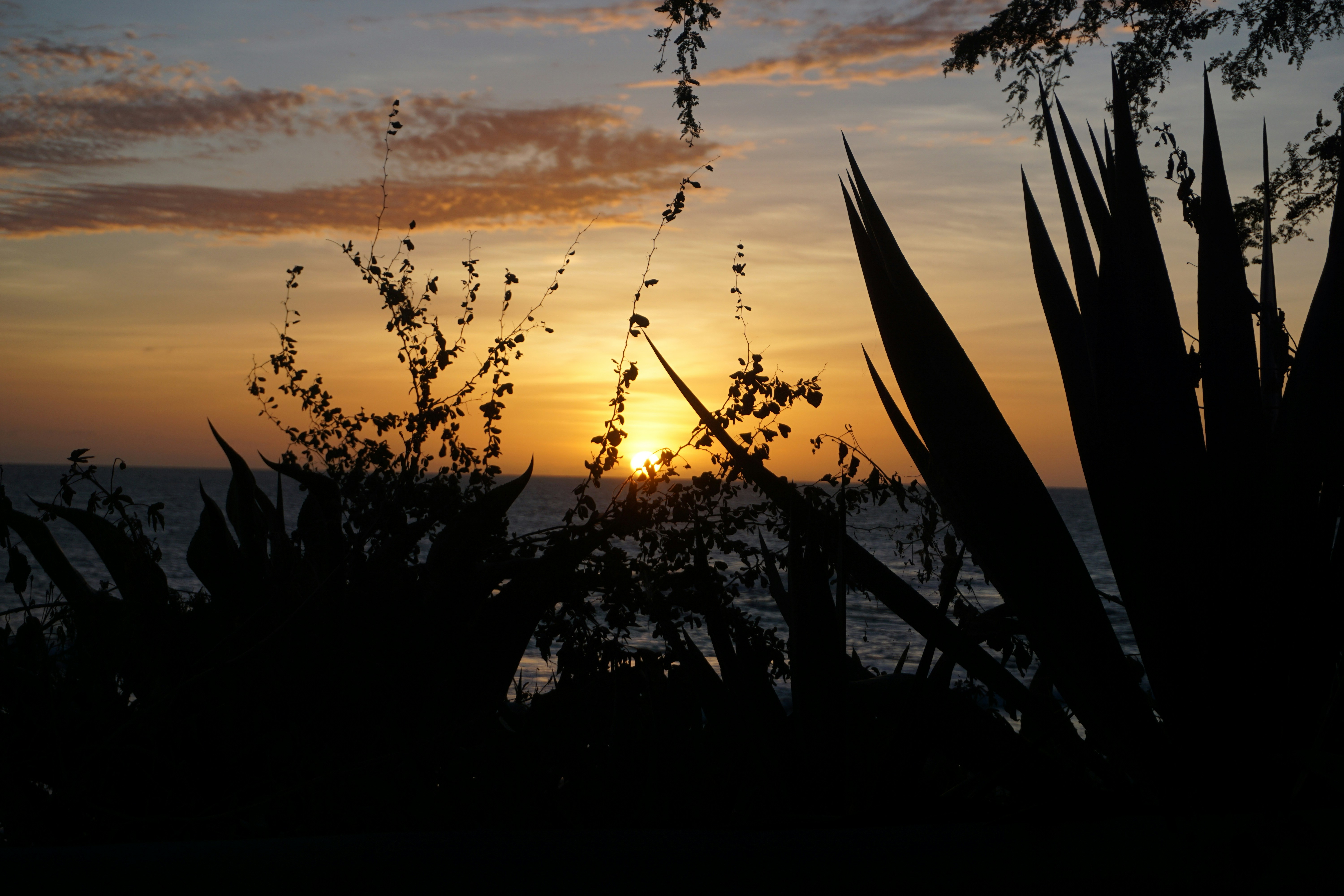 treasure beach 2