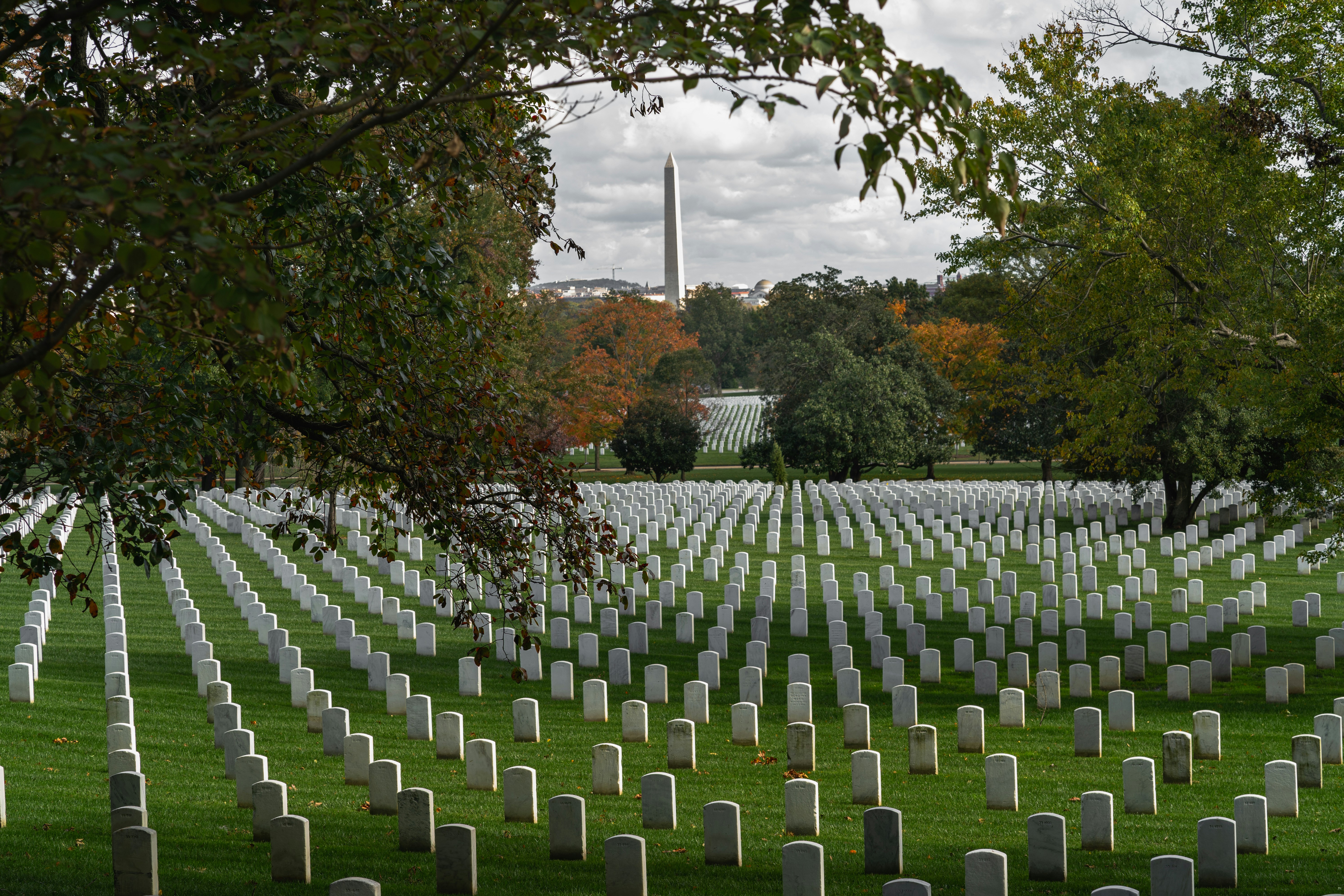 arlington