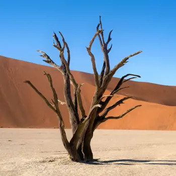 Namibie