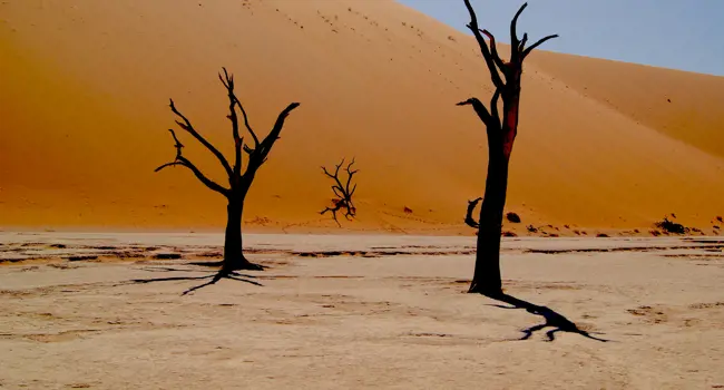 La Namibie intemporelle