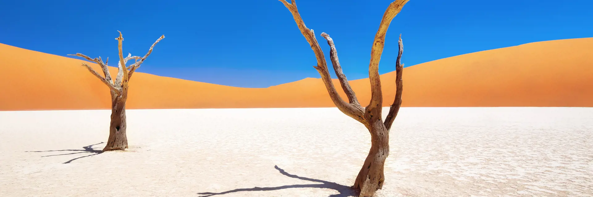 rondreis namibie