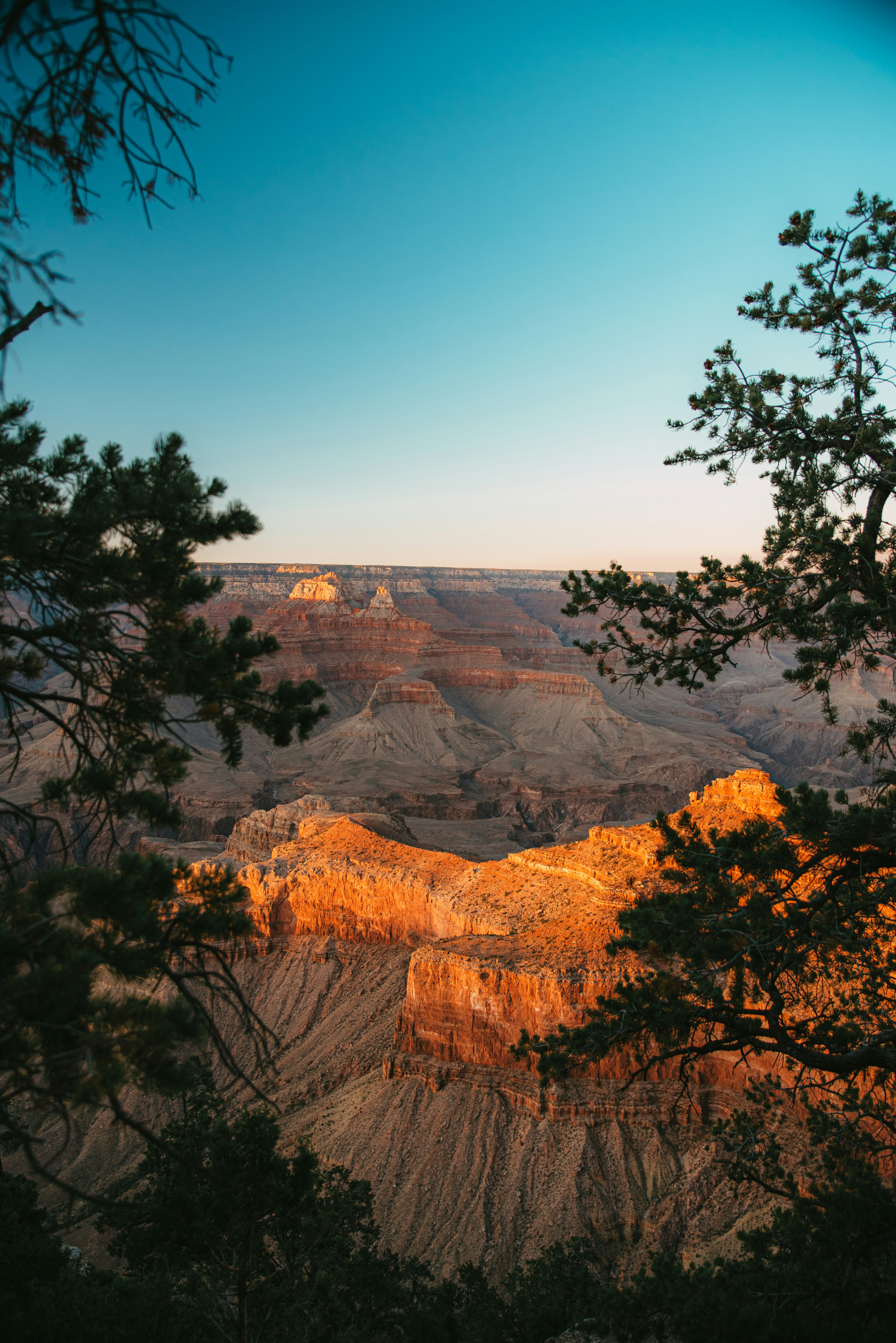 grand canyon view