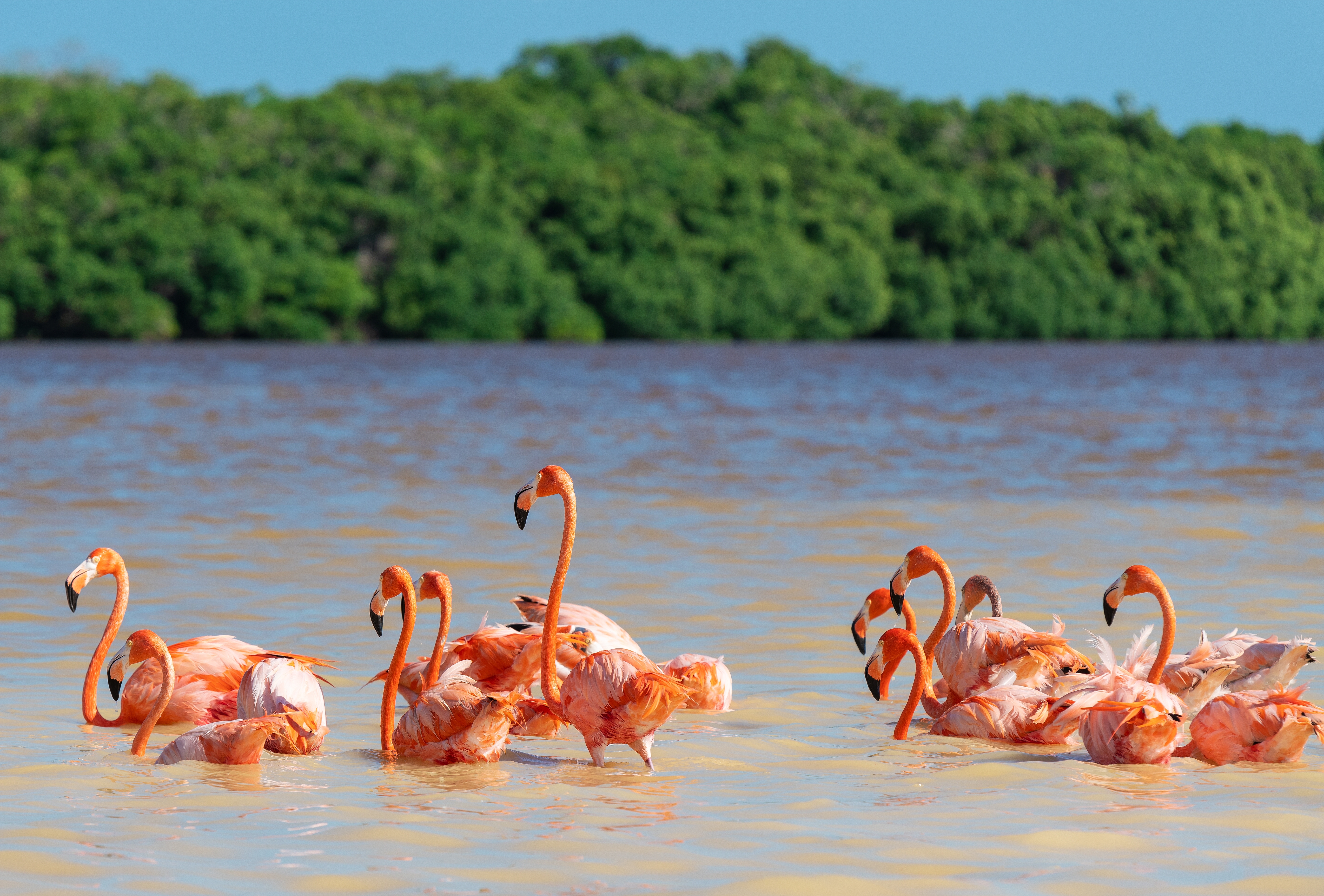 celestun biosphere reserve