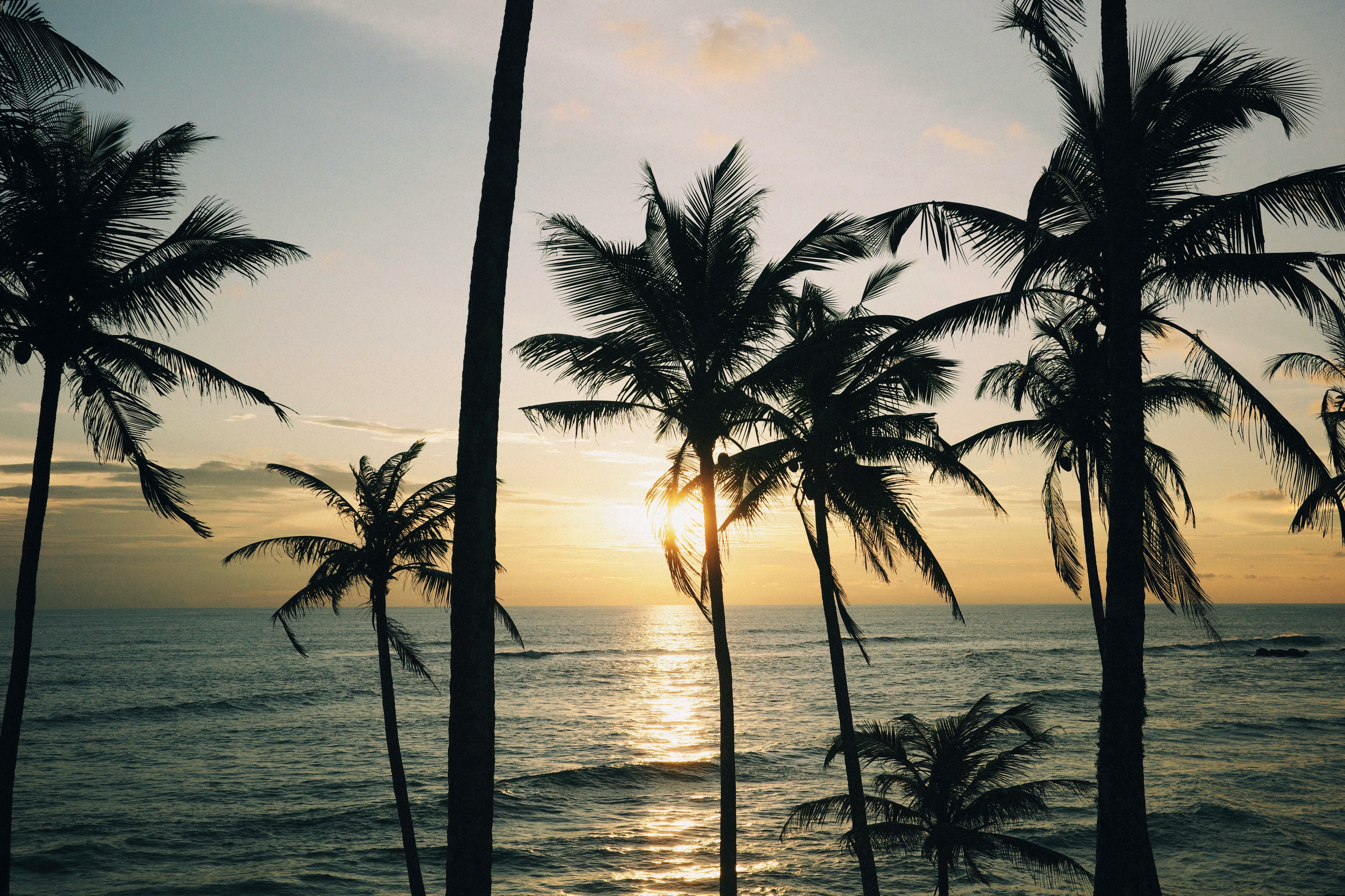 Sri Lanka pour les explorateurs