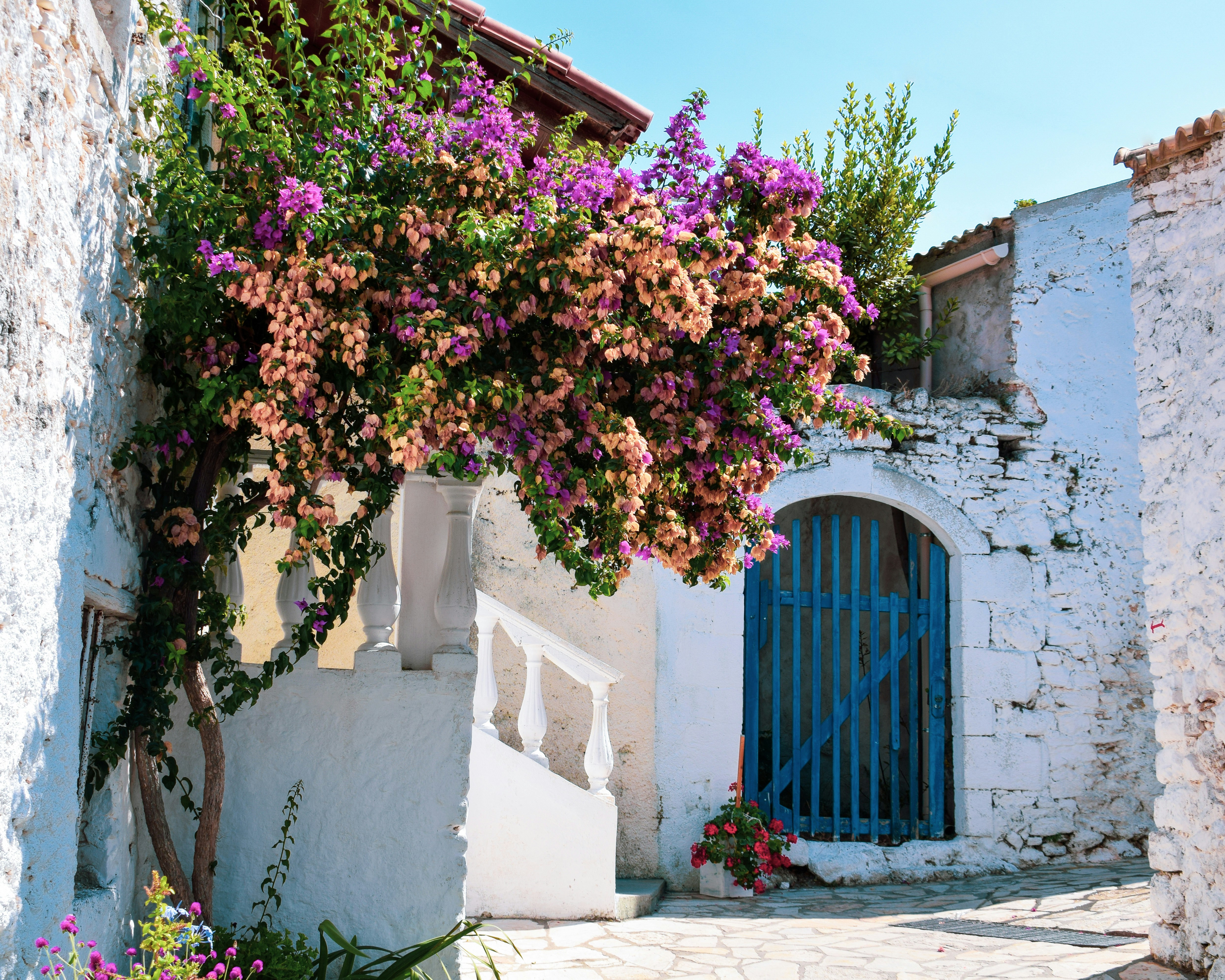 corfu street