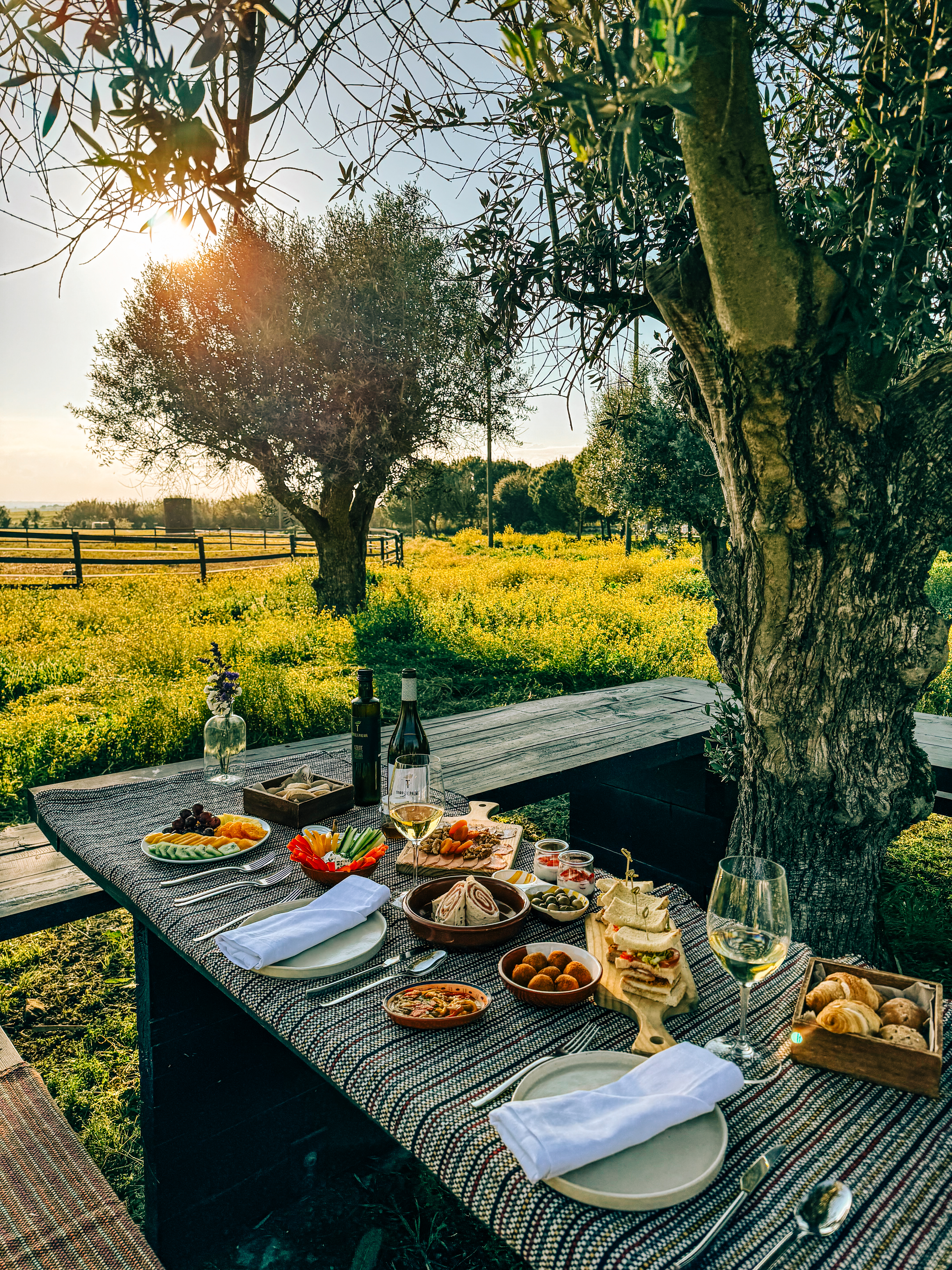 torre de palma alentejo 25