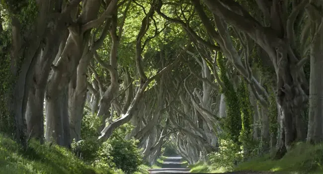 Voyage en Irlande du Nord & Irlande: de Belfast aux falaises de Slieve League
