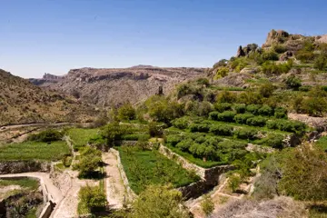jabal akhdar