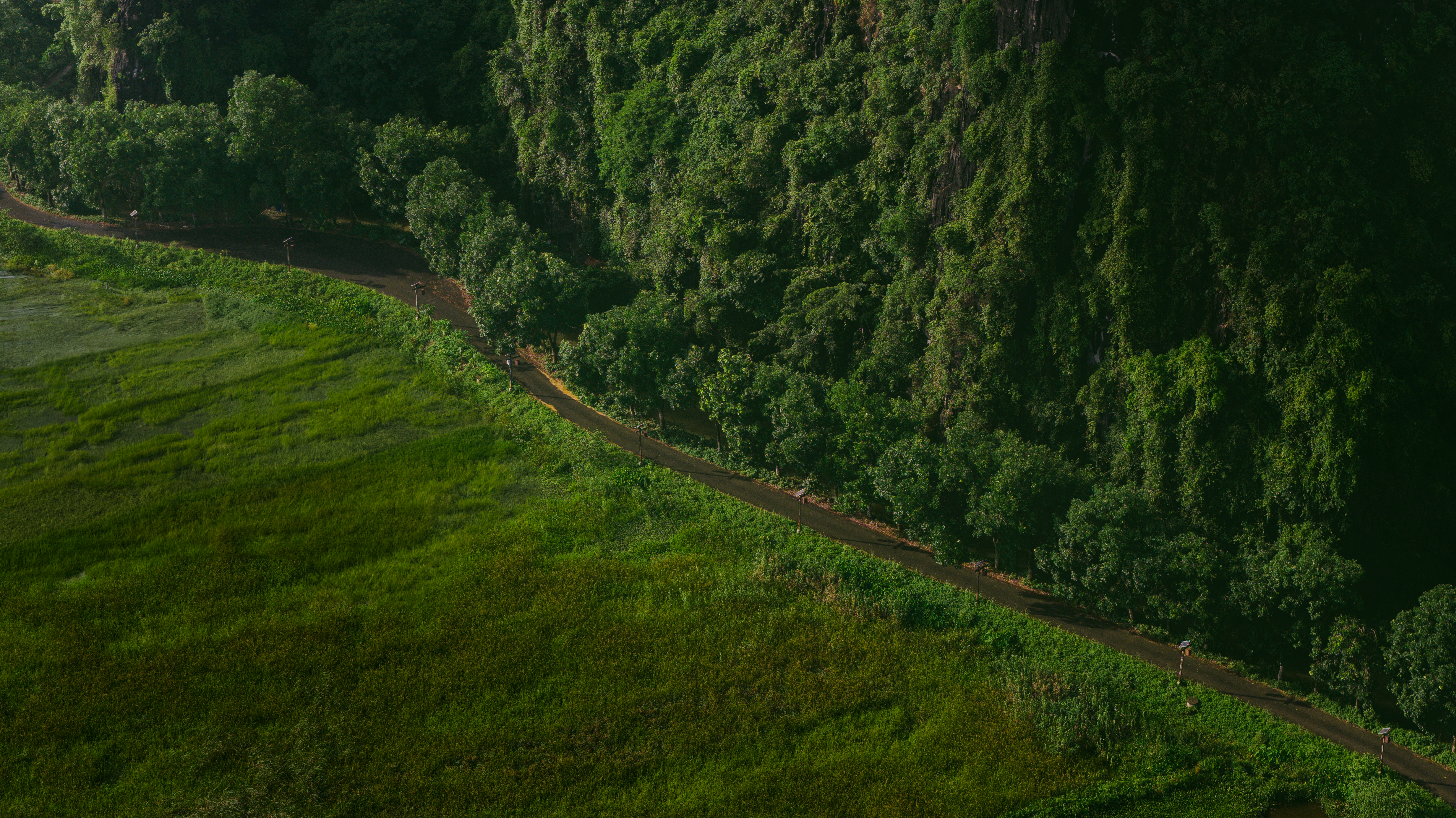 jiva arrival road 01