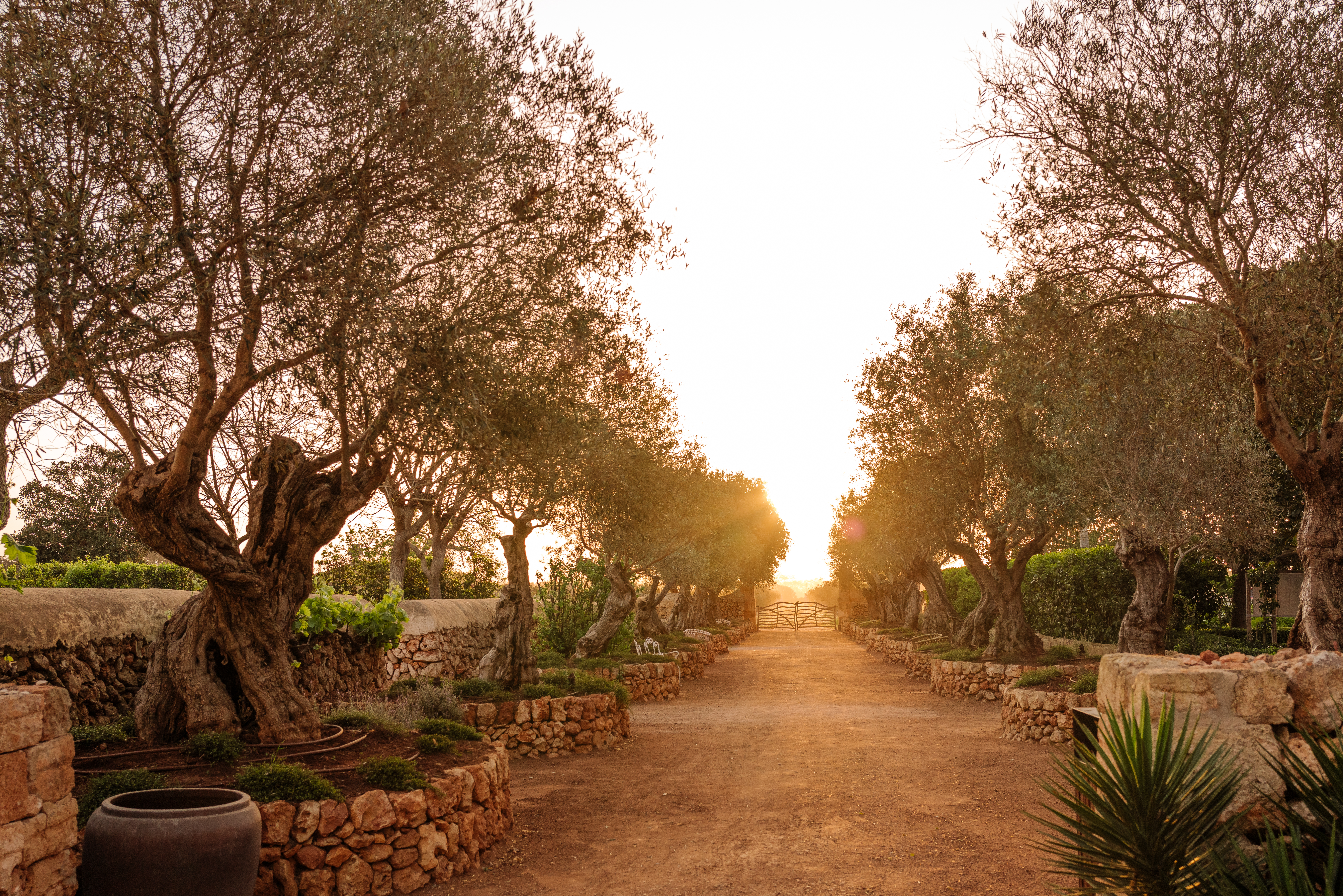 sonvell april hr 262