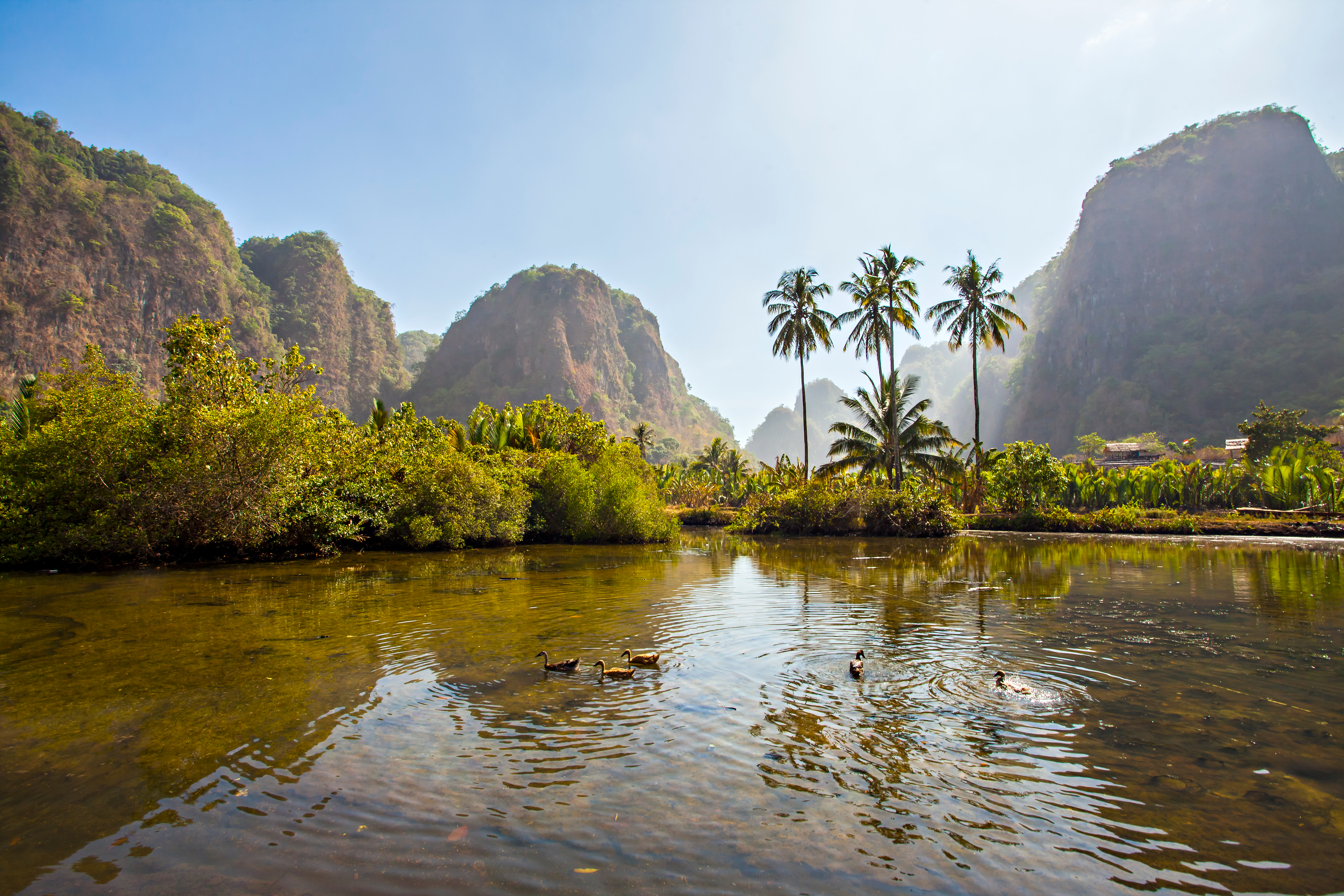 ramang ramang sulawesi