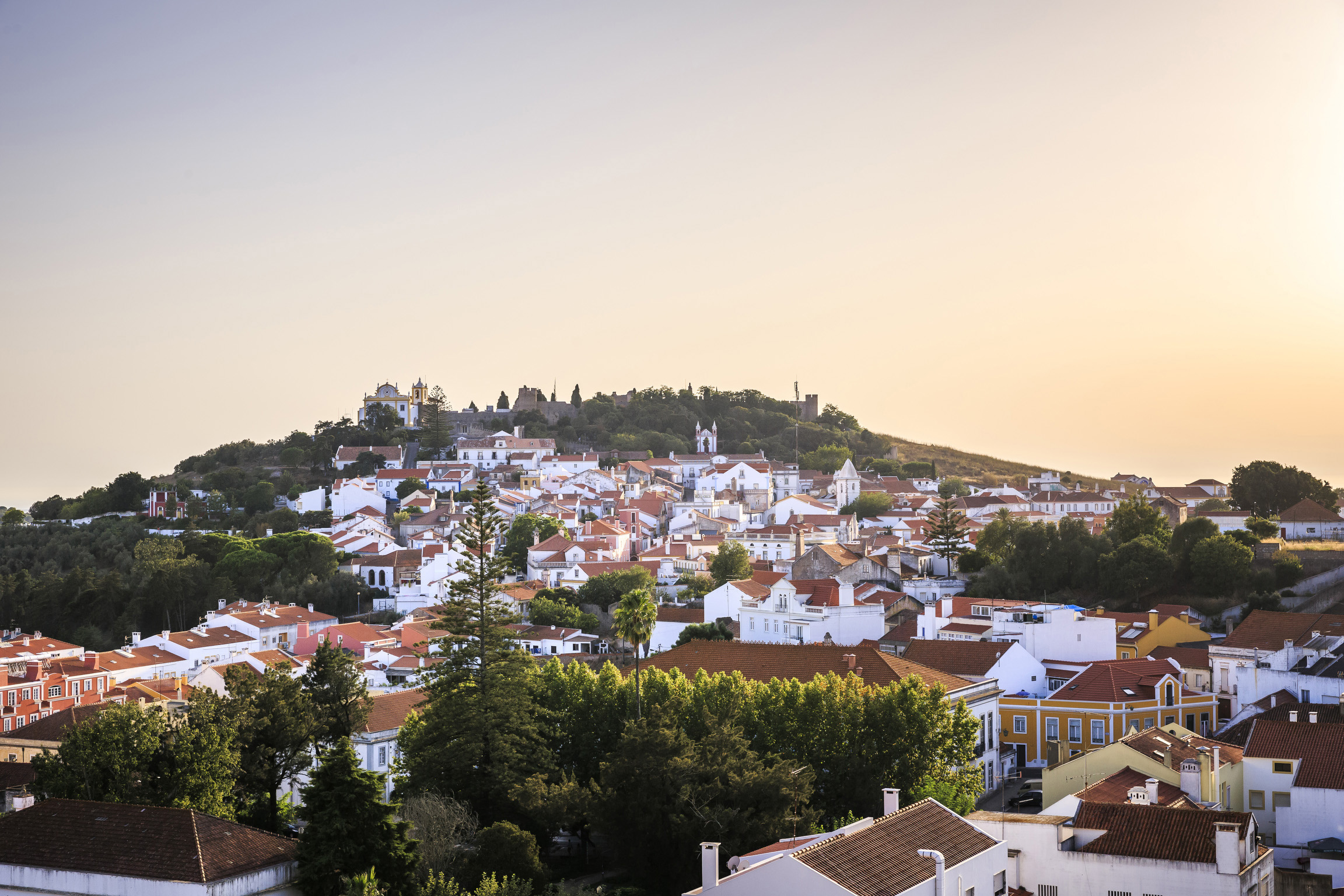 ptrr0018 puur alentejo 29