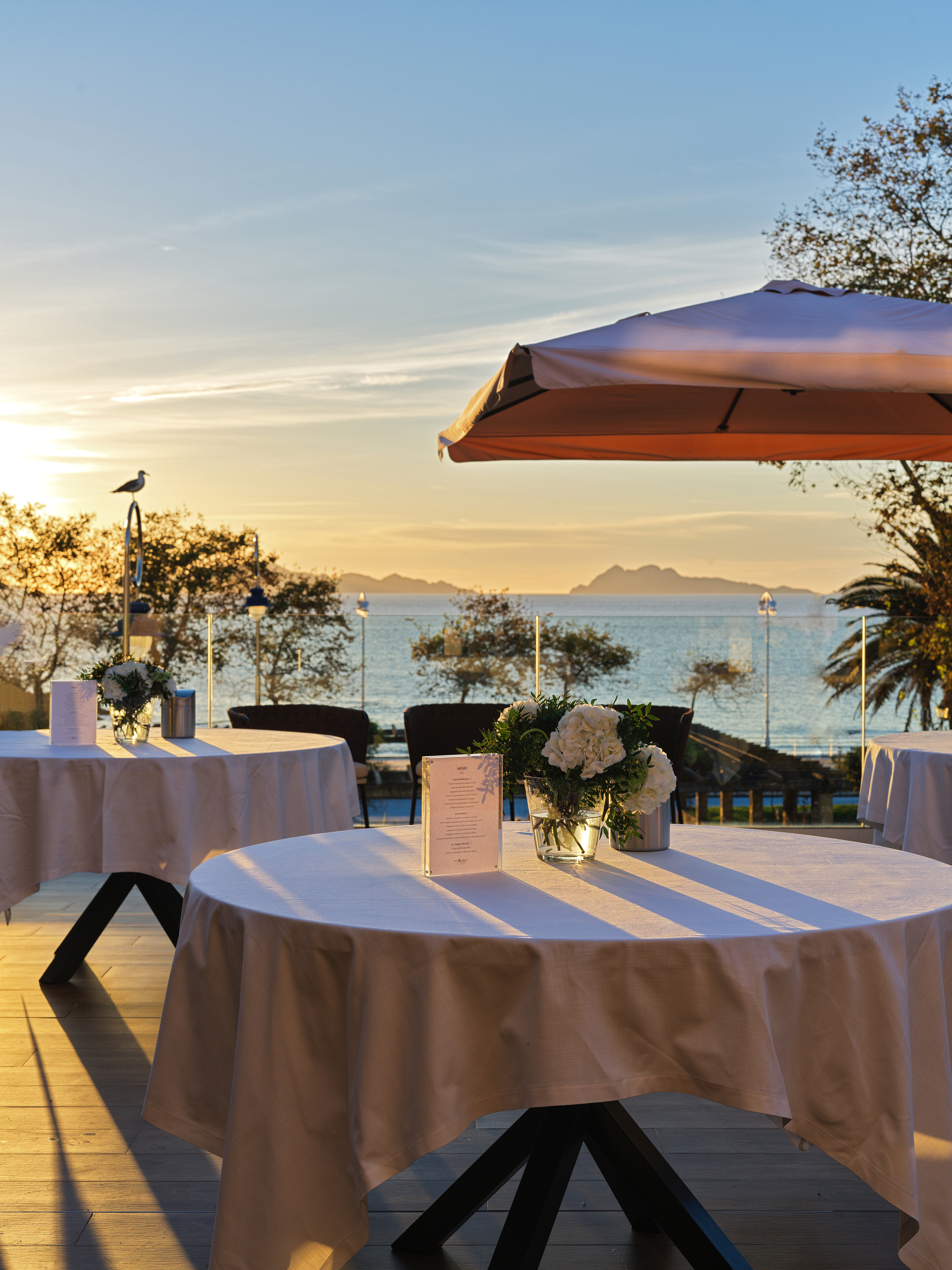 attica vigo 016 baja