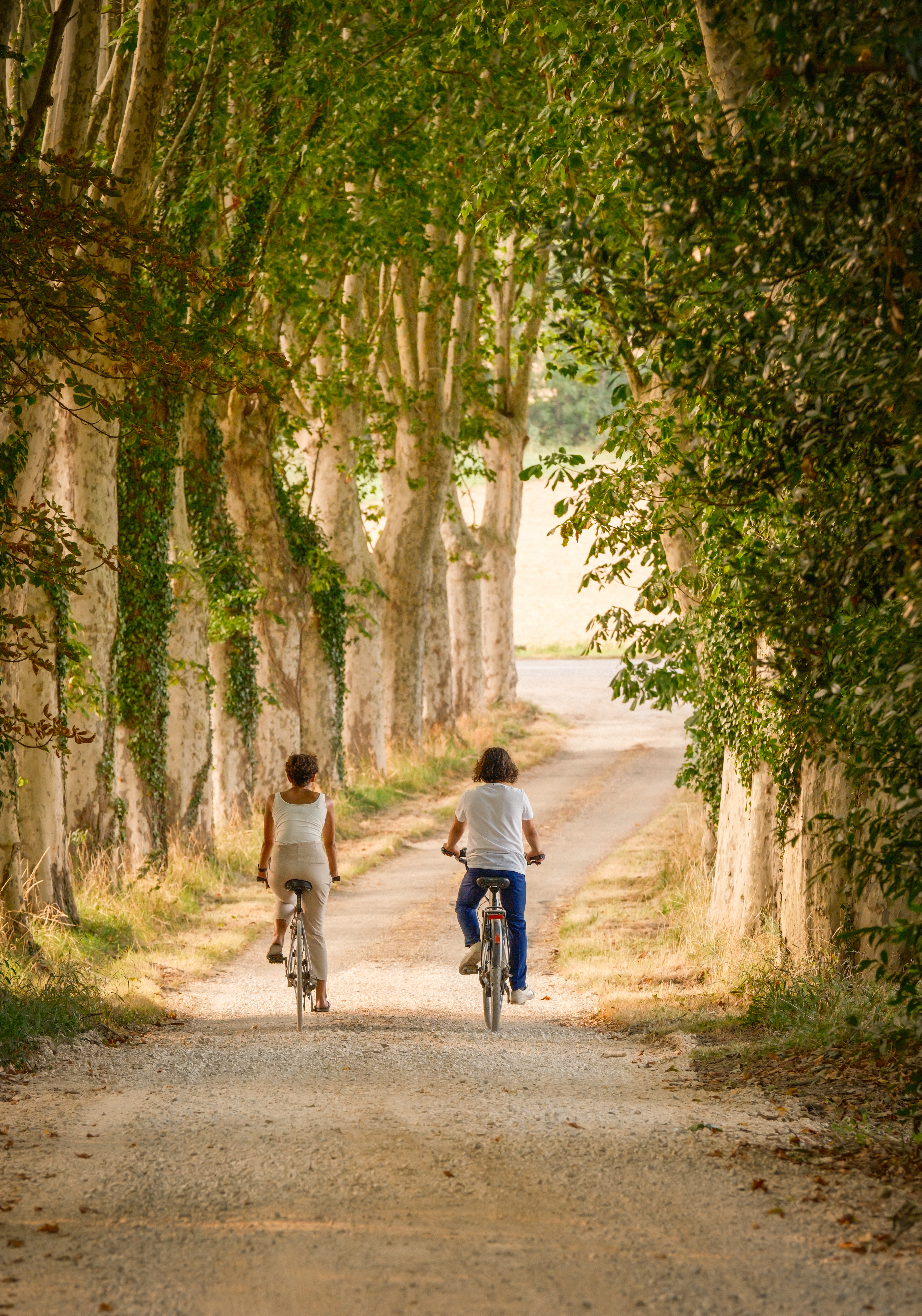 Séjour vélo le long du Canal du Midi : 5 jours à travers le Lauragais depuis le Domaine de Camboyer
