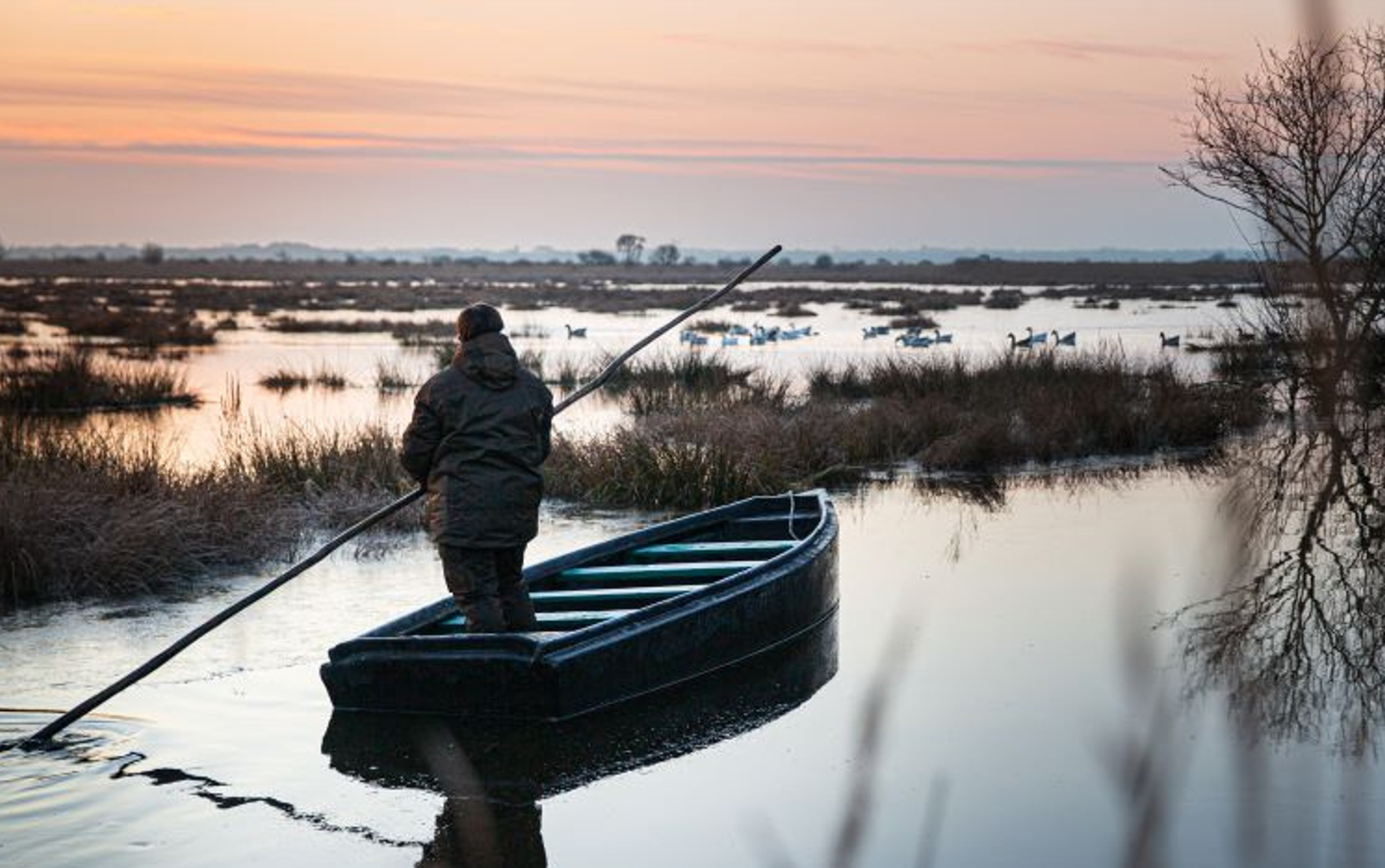 parc naturel de la briere