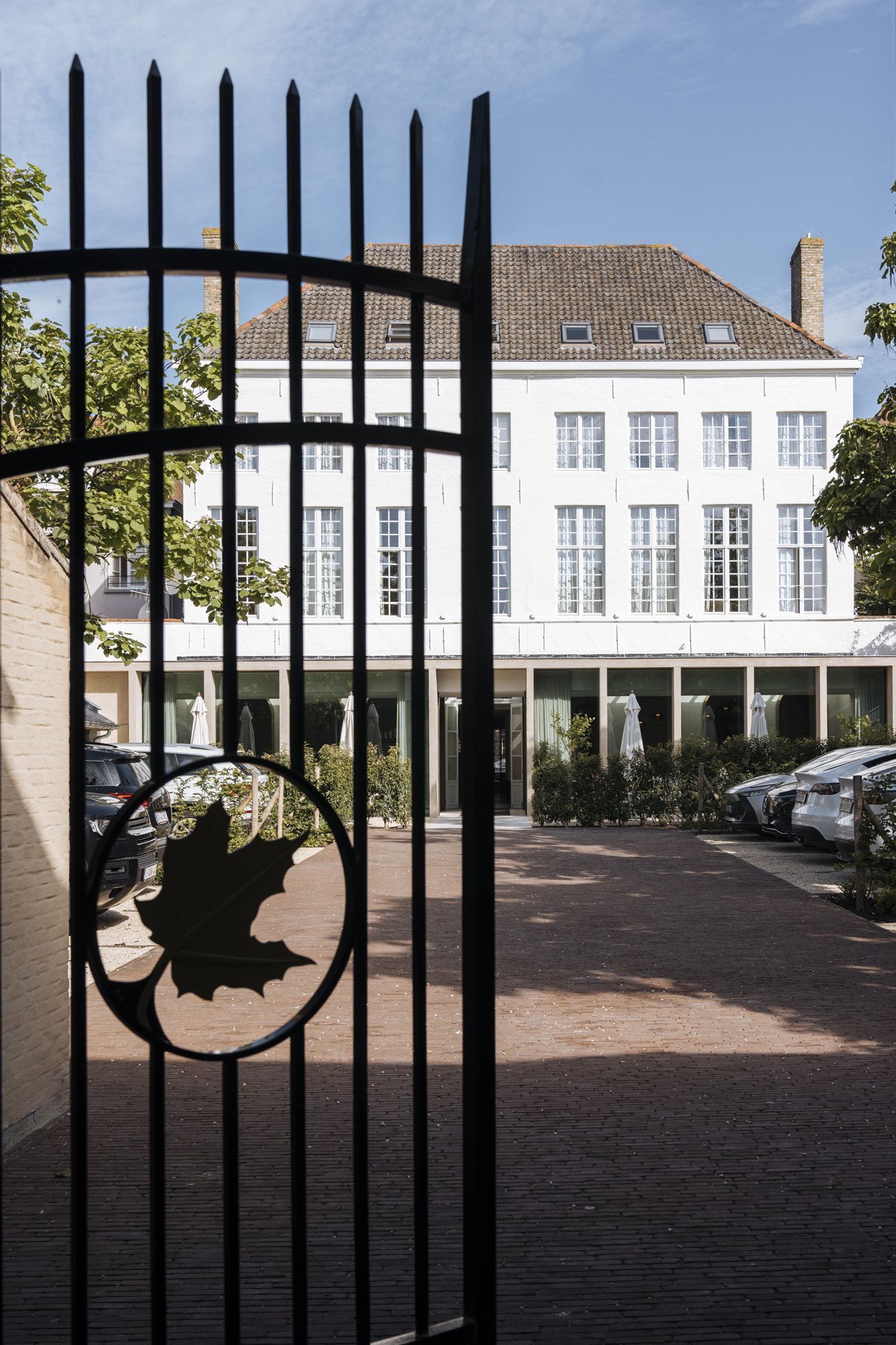 pictures new website 3