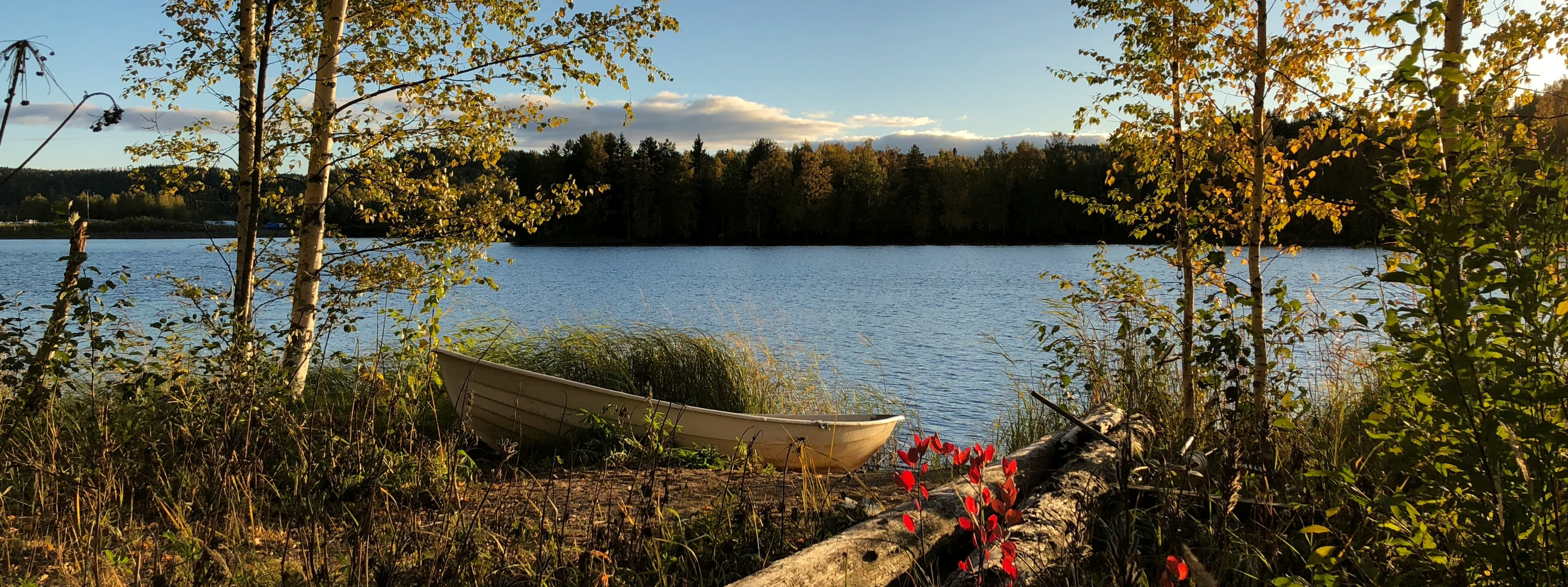 rondreis finland treinreis 12 dagen