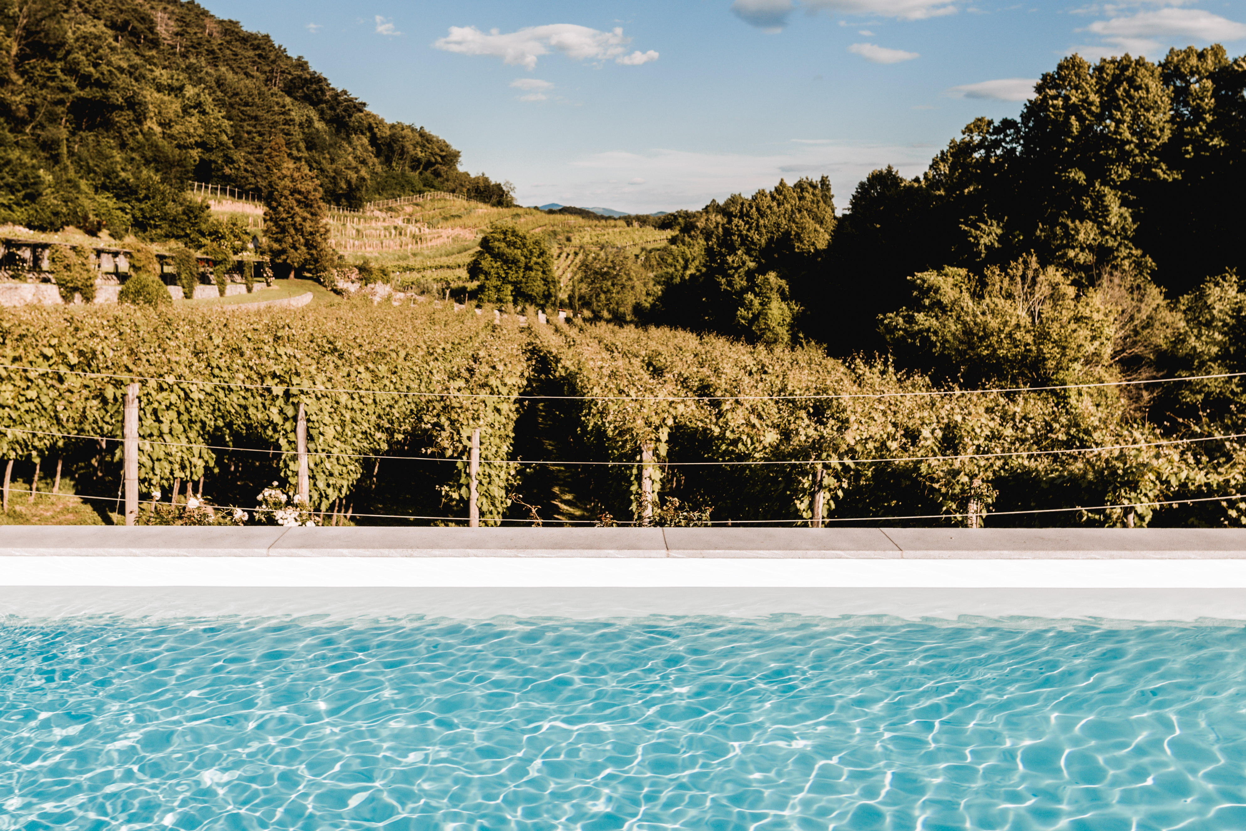 4 1 vf homepage images anarojcphoto 5 1