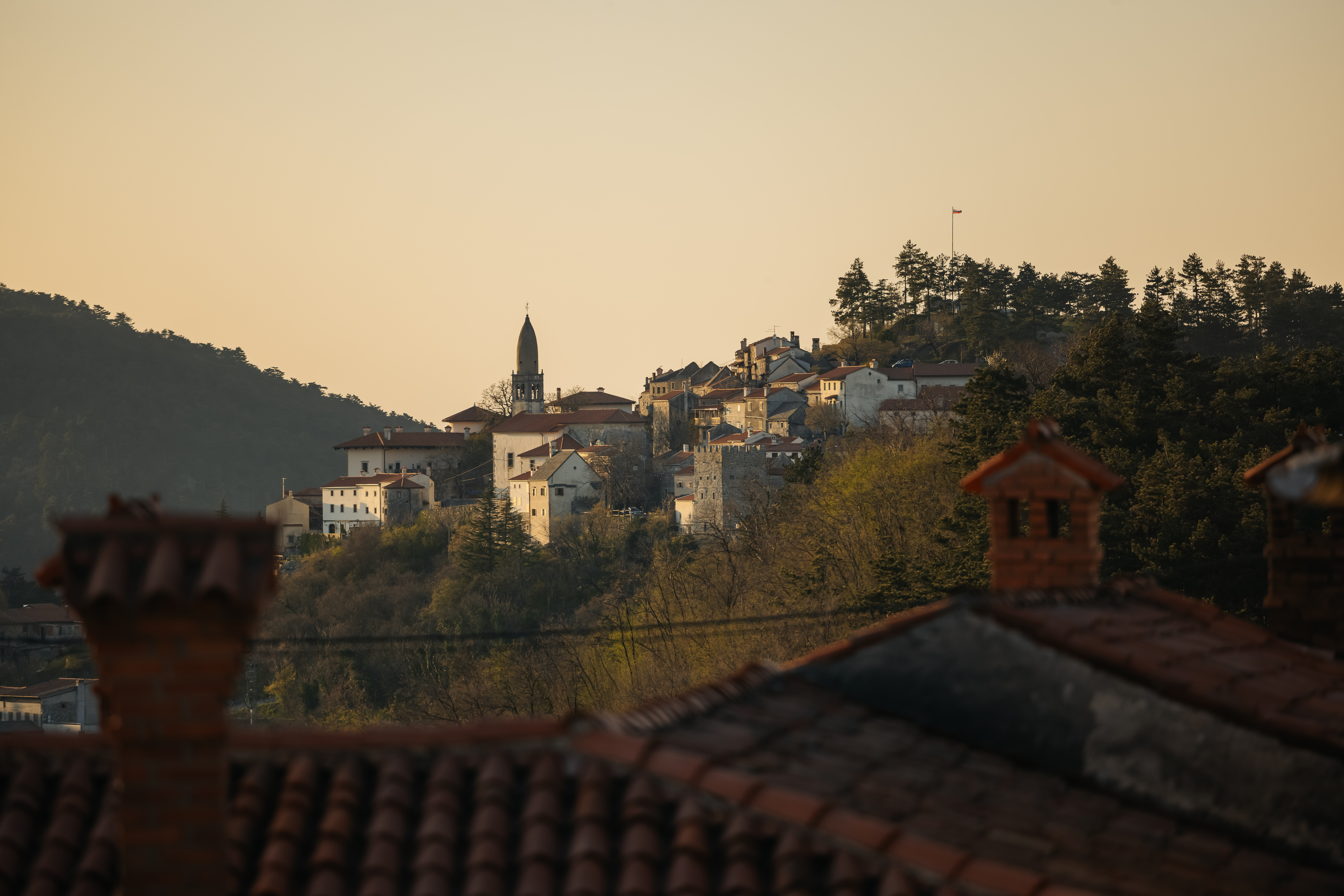 vf 3 standard 3 marec 2021 photo ziga intihar 290