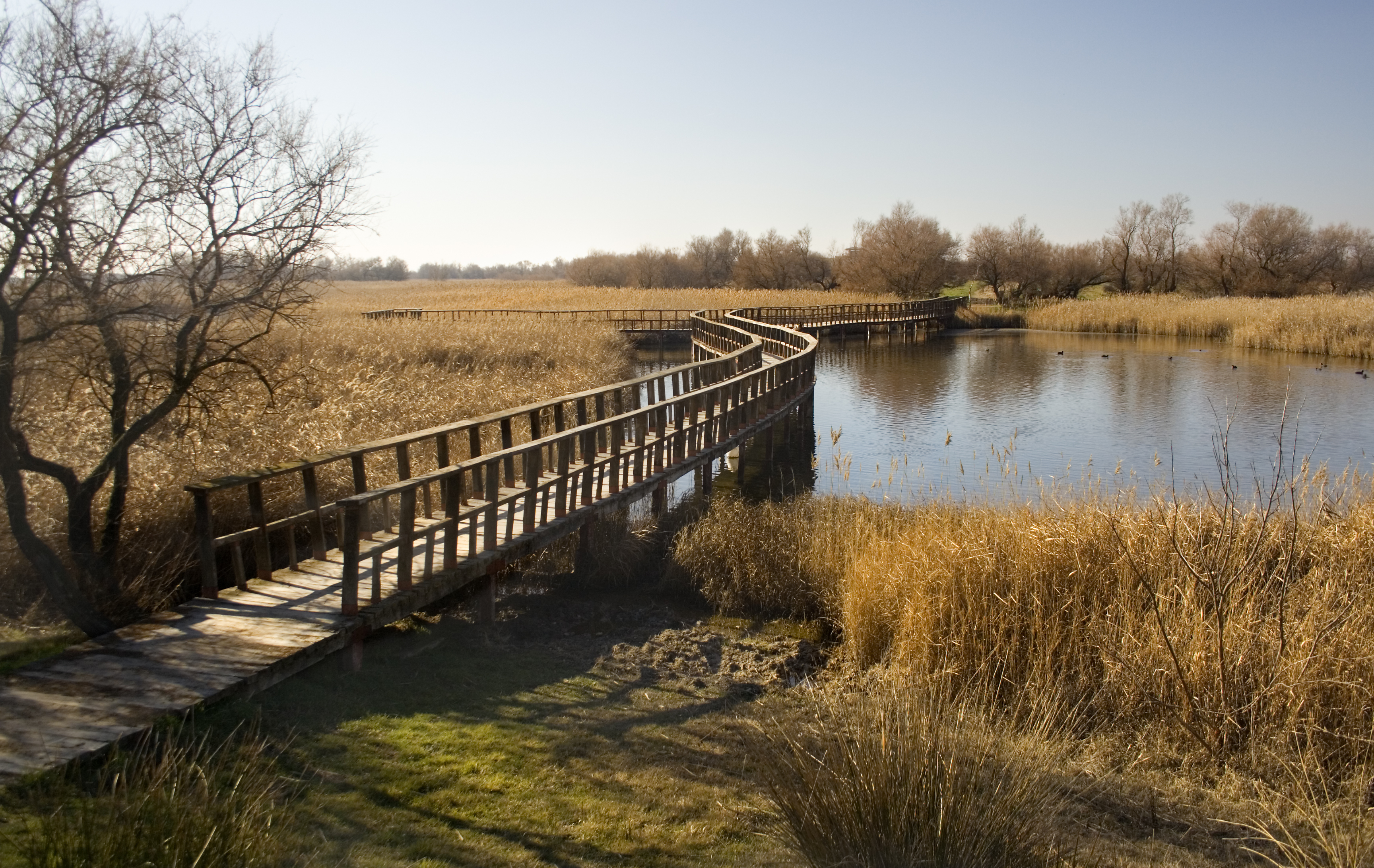 Circuit de 5 jours en Castille-La Manche