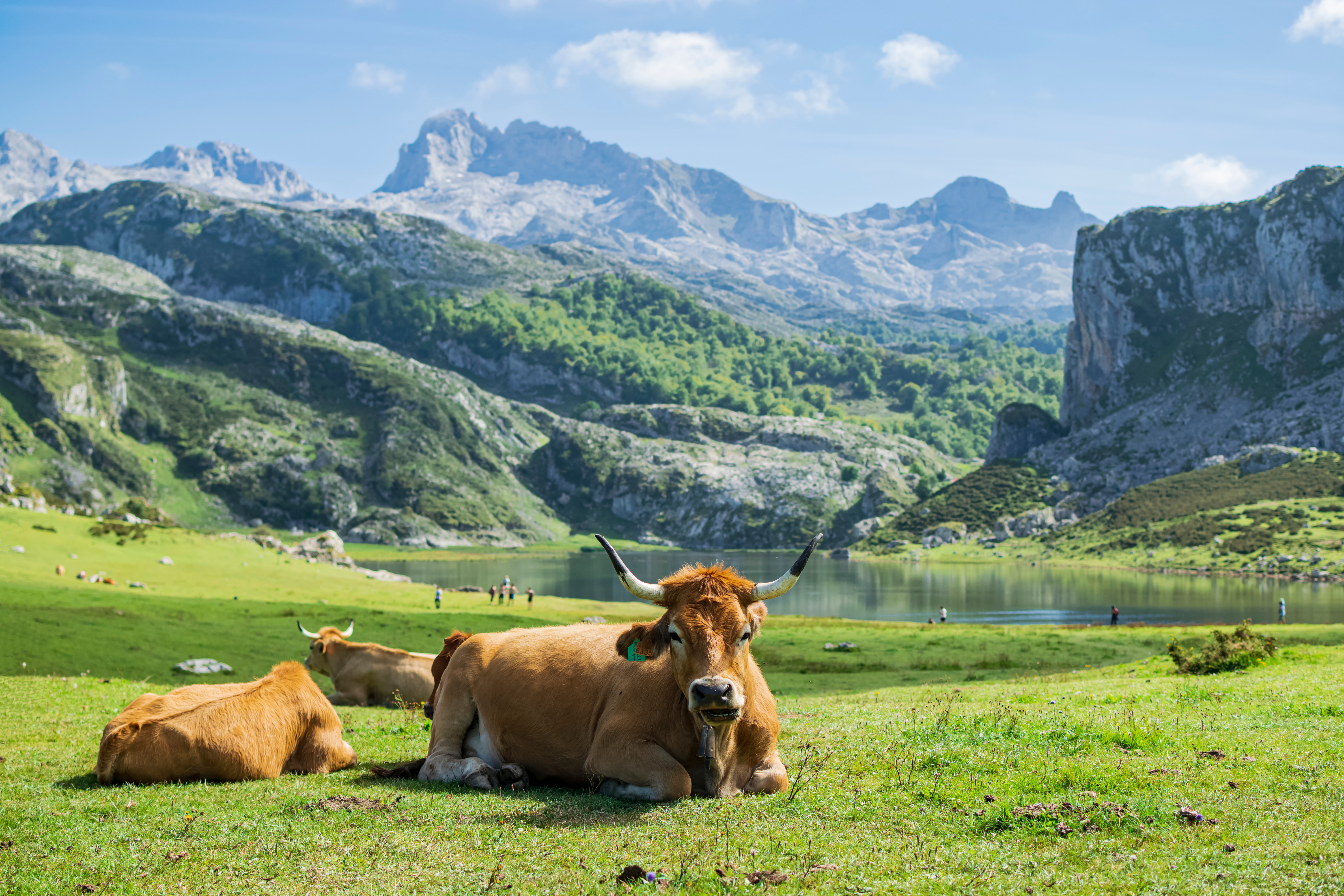 10 jours dans le nord de l'Espagne | Les Picos de Europa et la côte galicienne
