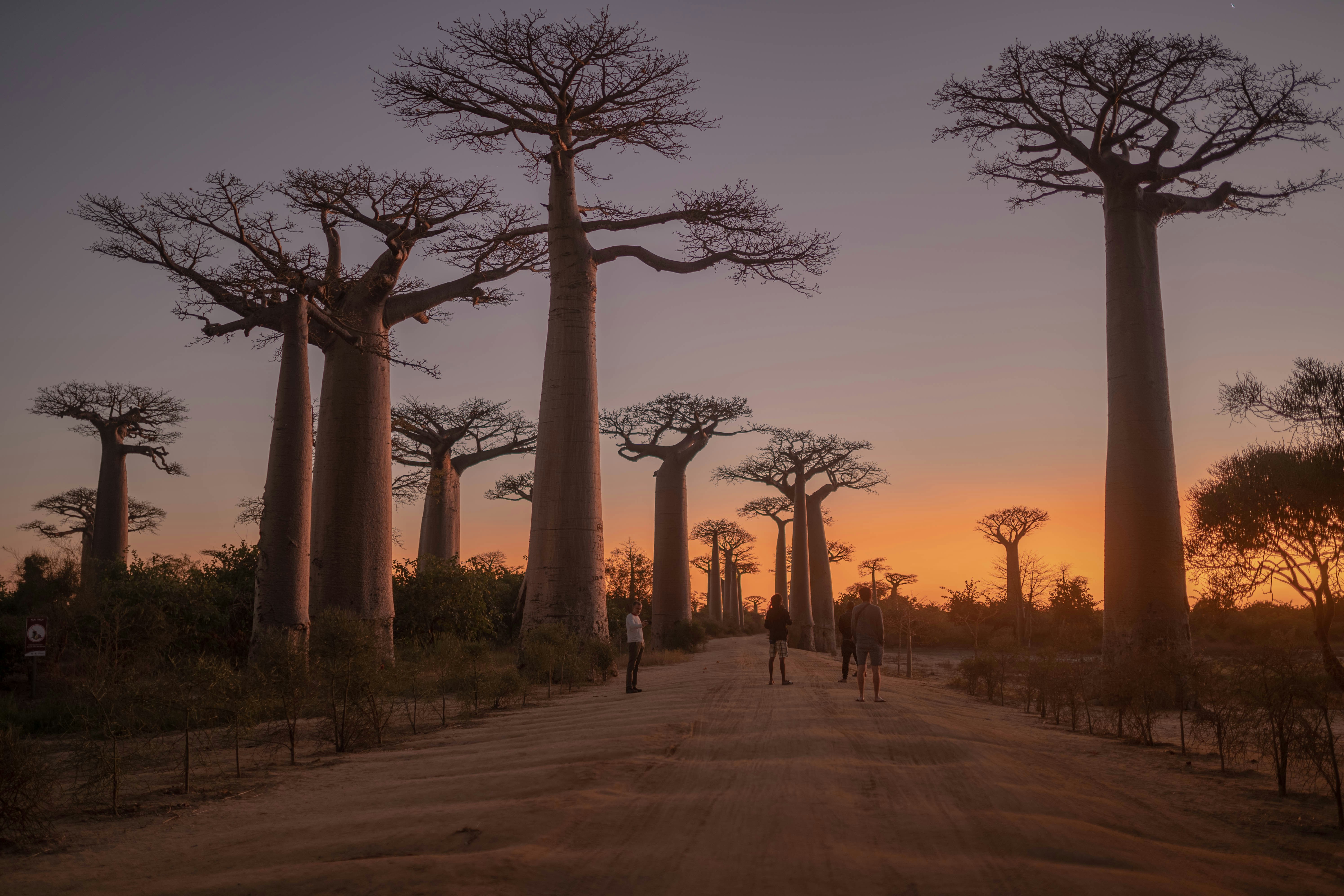 Croisière boutique en Afrique du Sud et à Madagascar : découvrez l’océan Indien