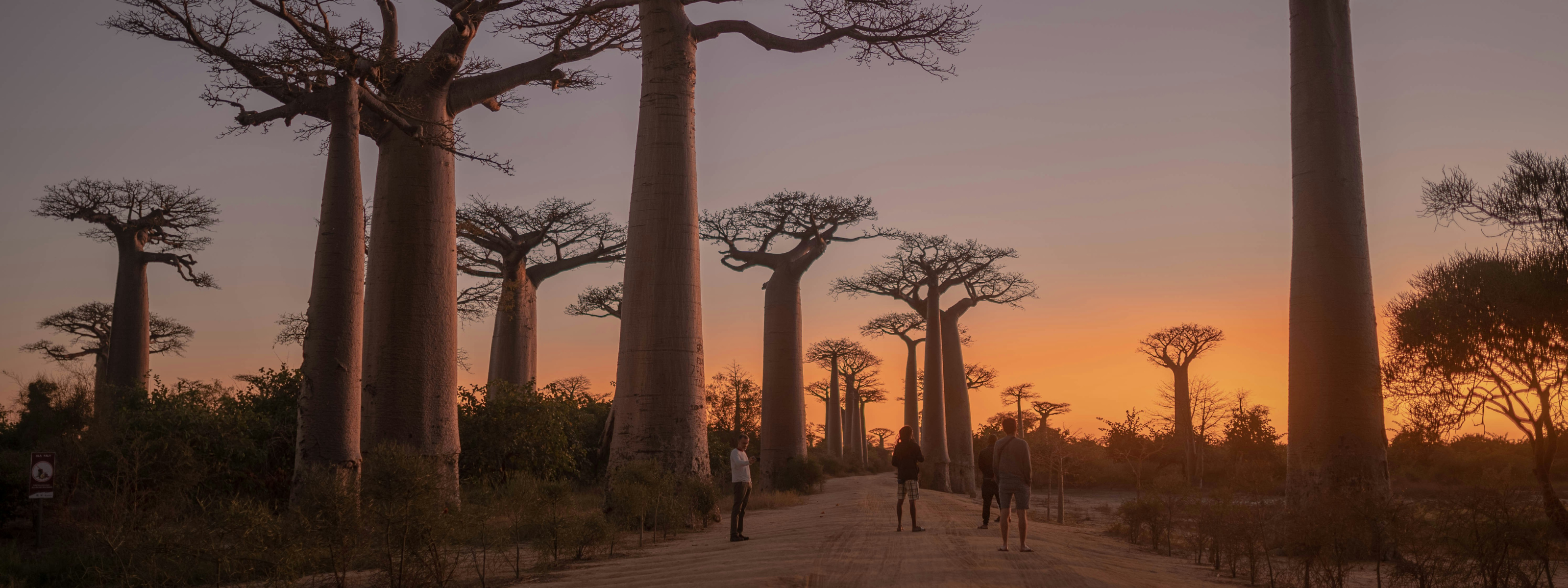 boetiekcruise zuid afrika madagascar caractere