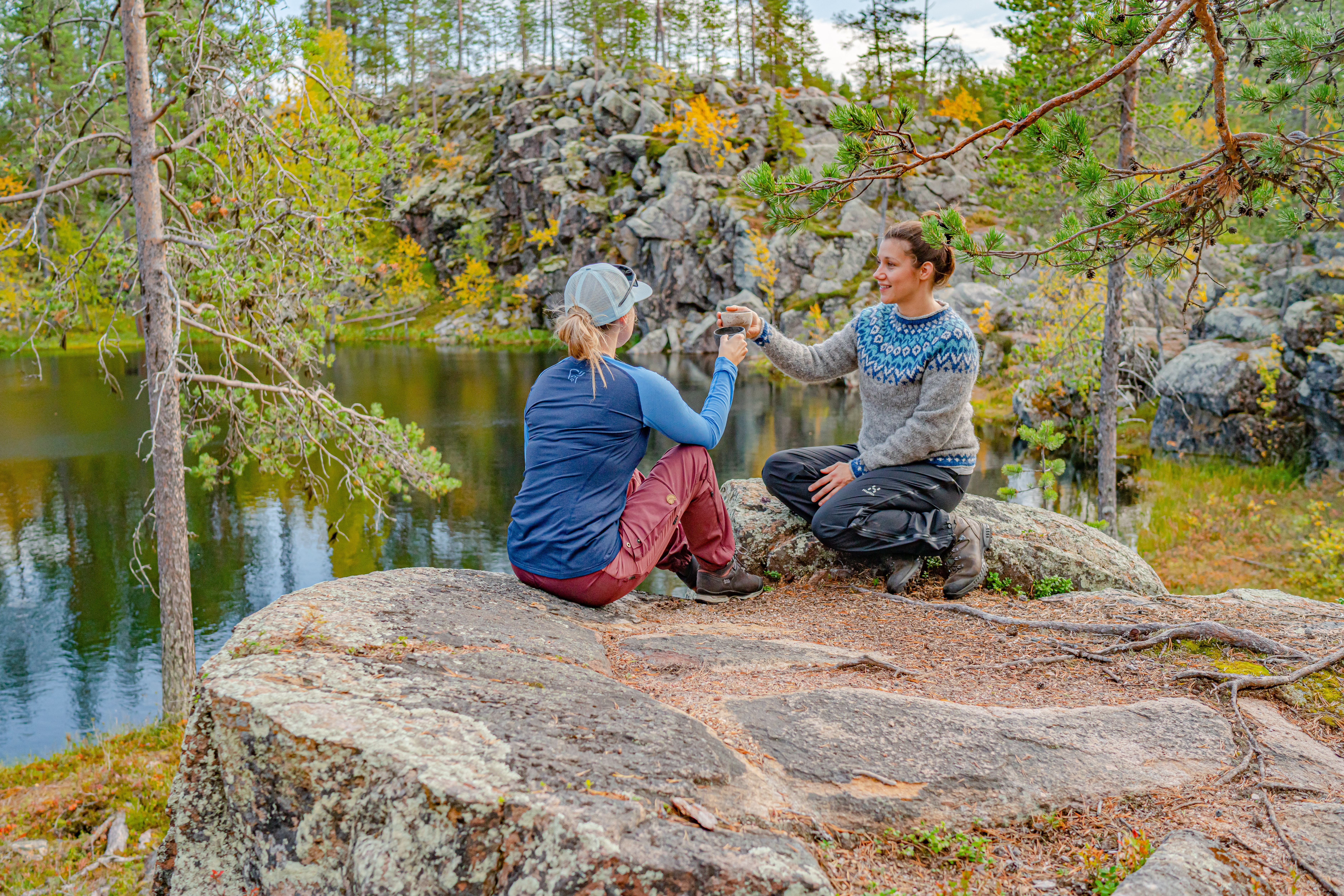ruska forest lapland 306985