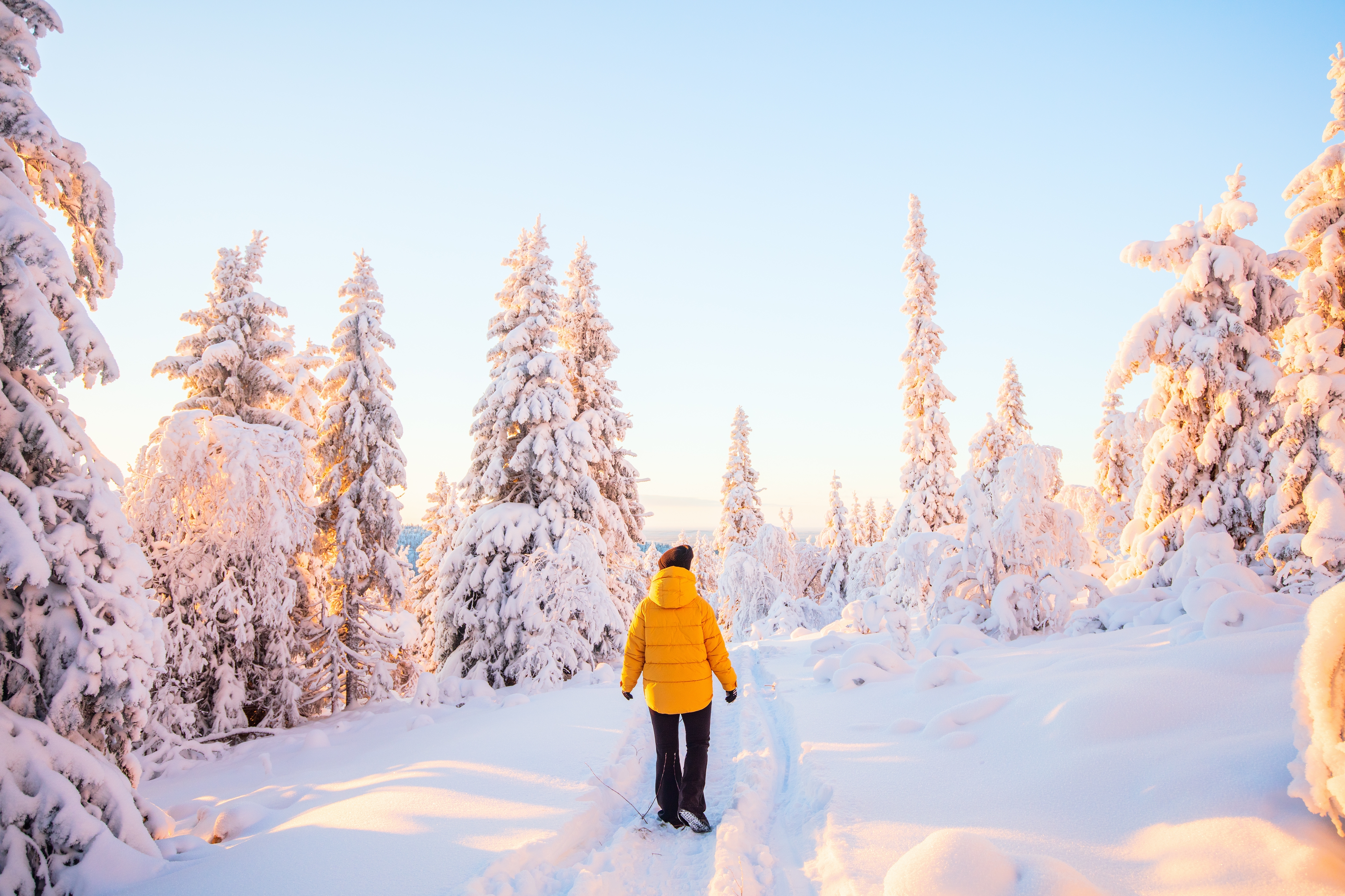Séjour immersif en Laponie finlandaise: 8 jours d'aventure active