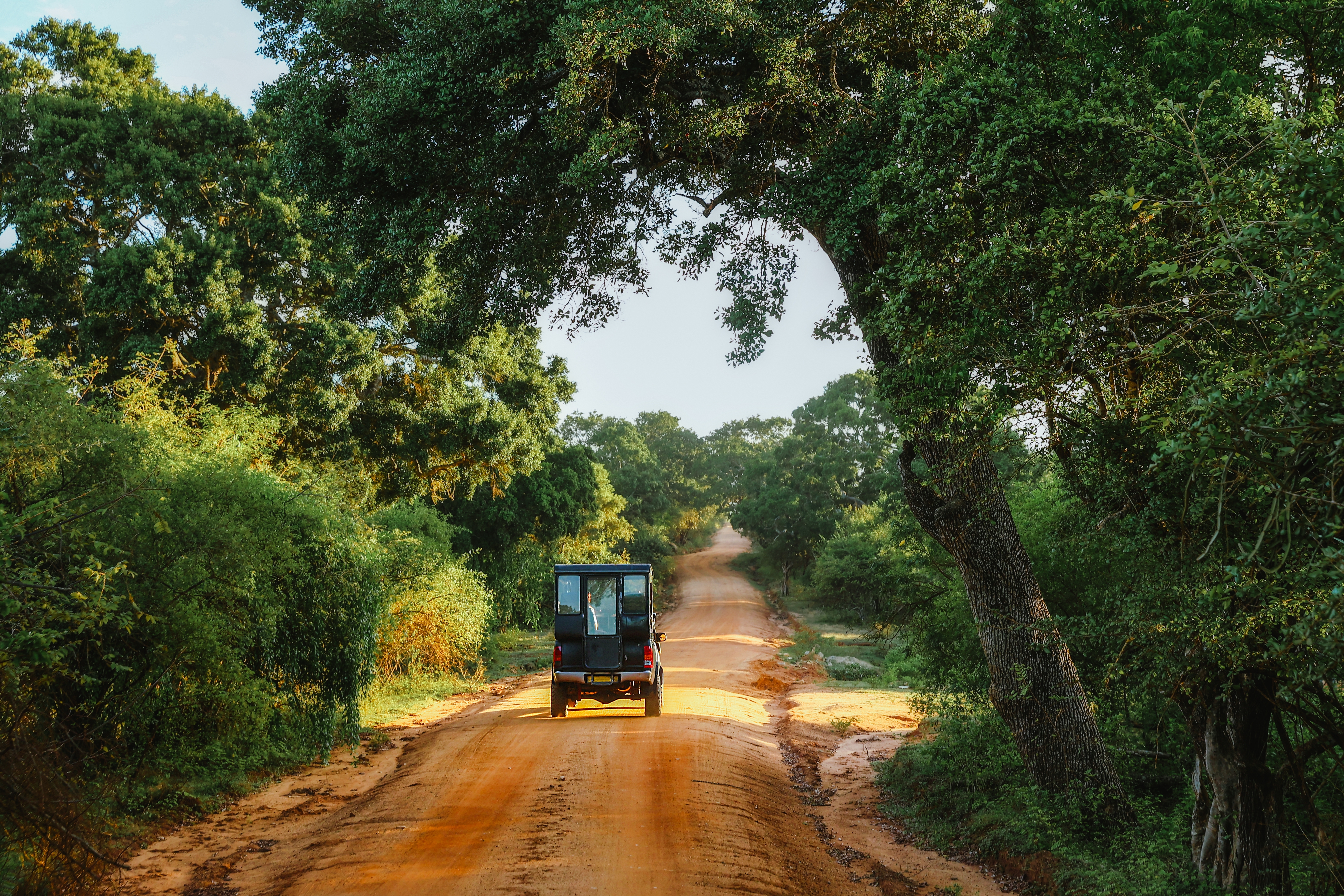 Circuit Sri Lanka: à la découverte du Nord sauvage
