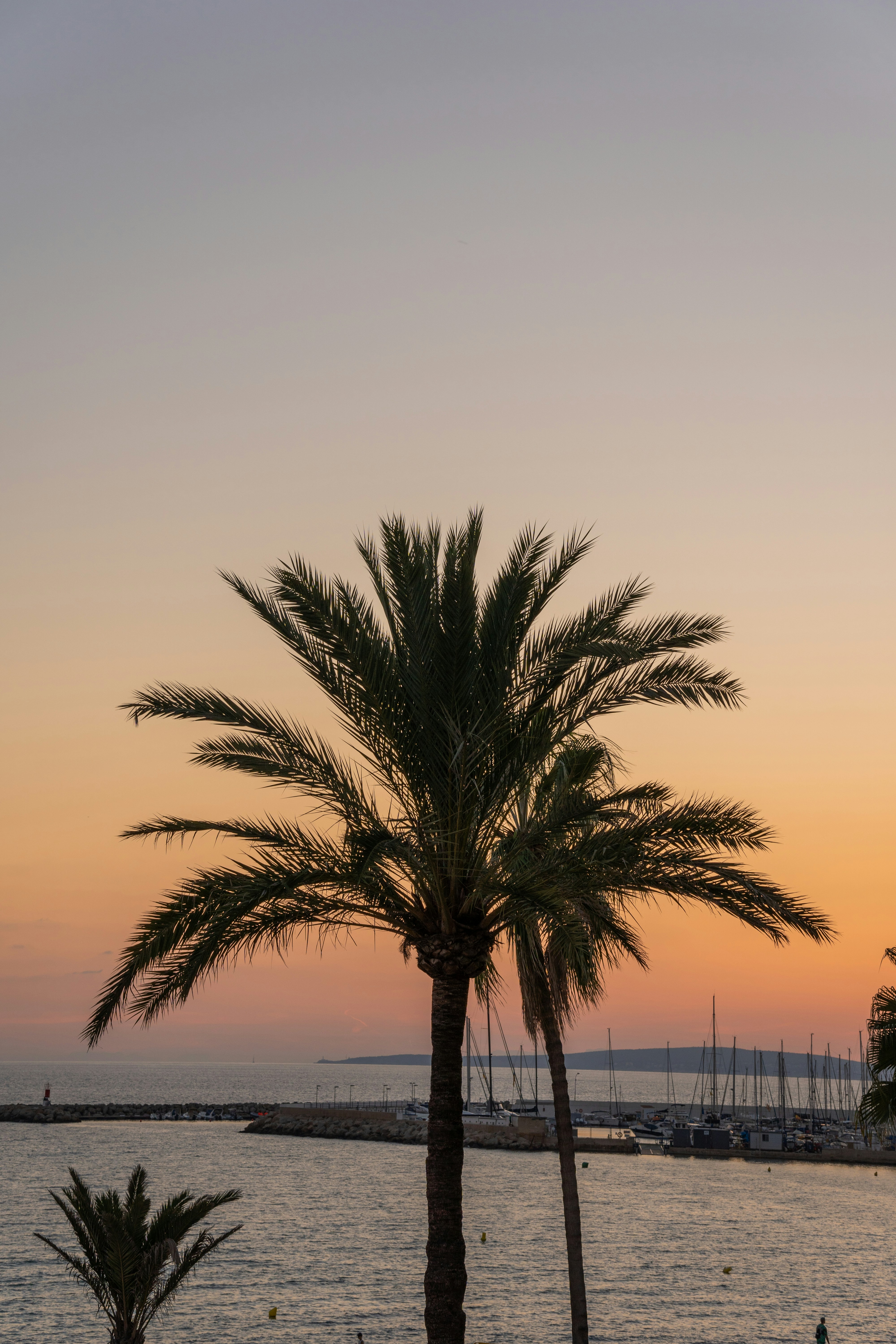 palma de mallorca spain