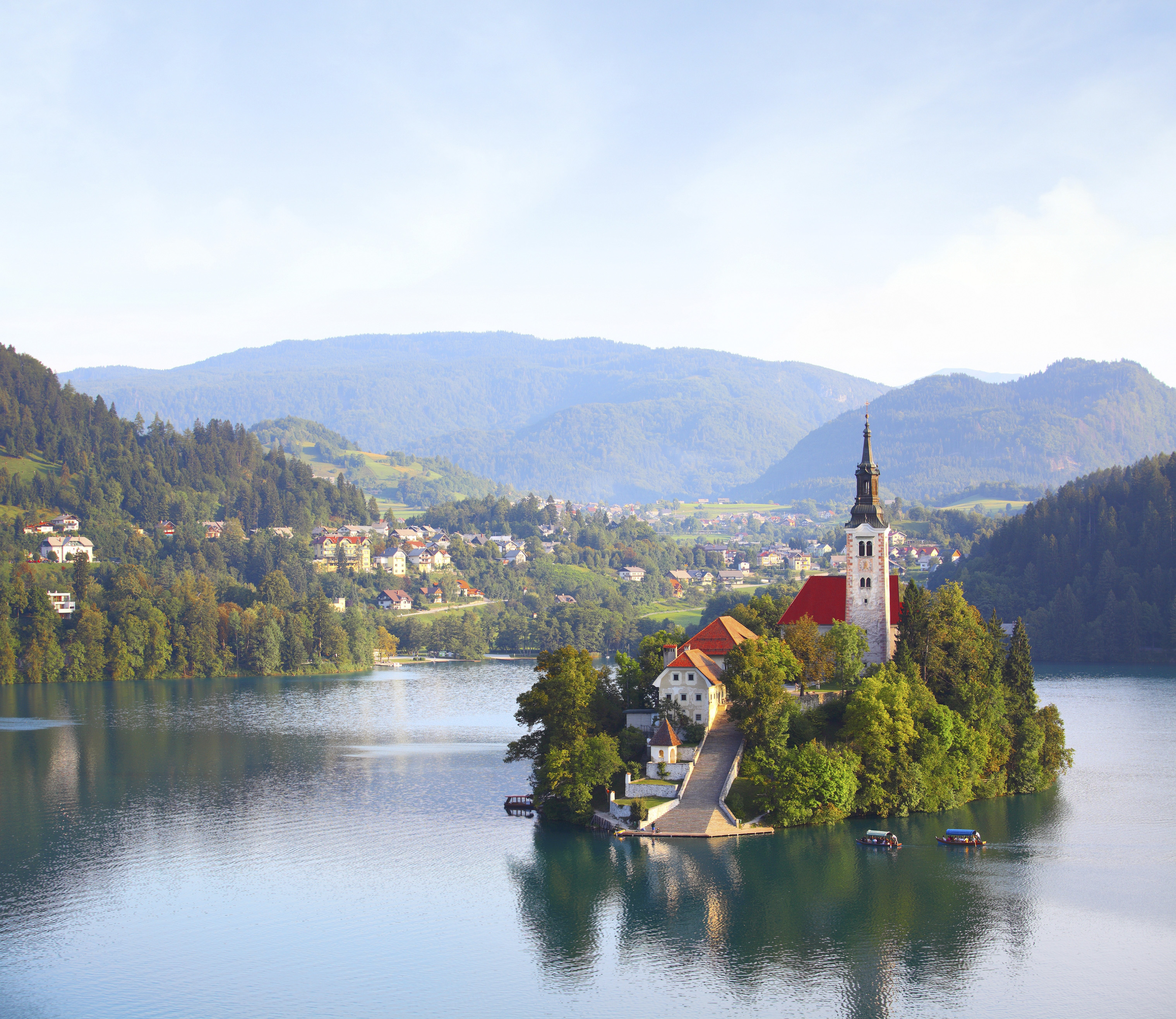 slrr0001 bled