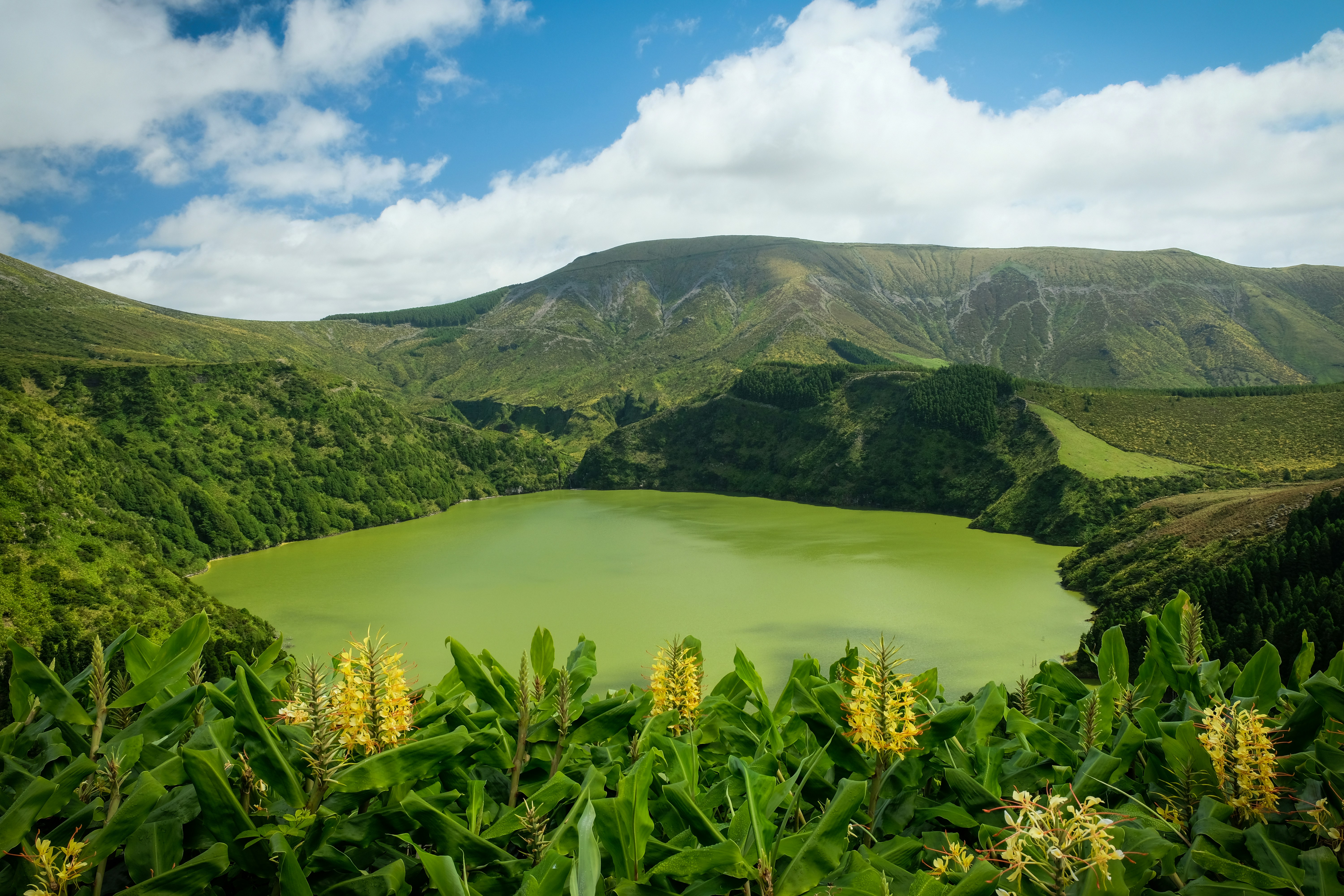 Açores