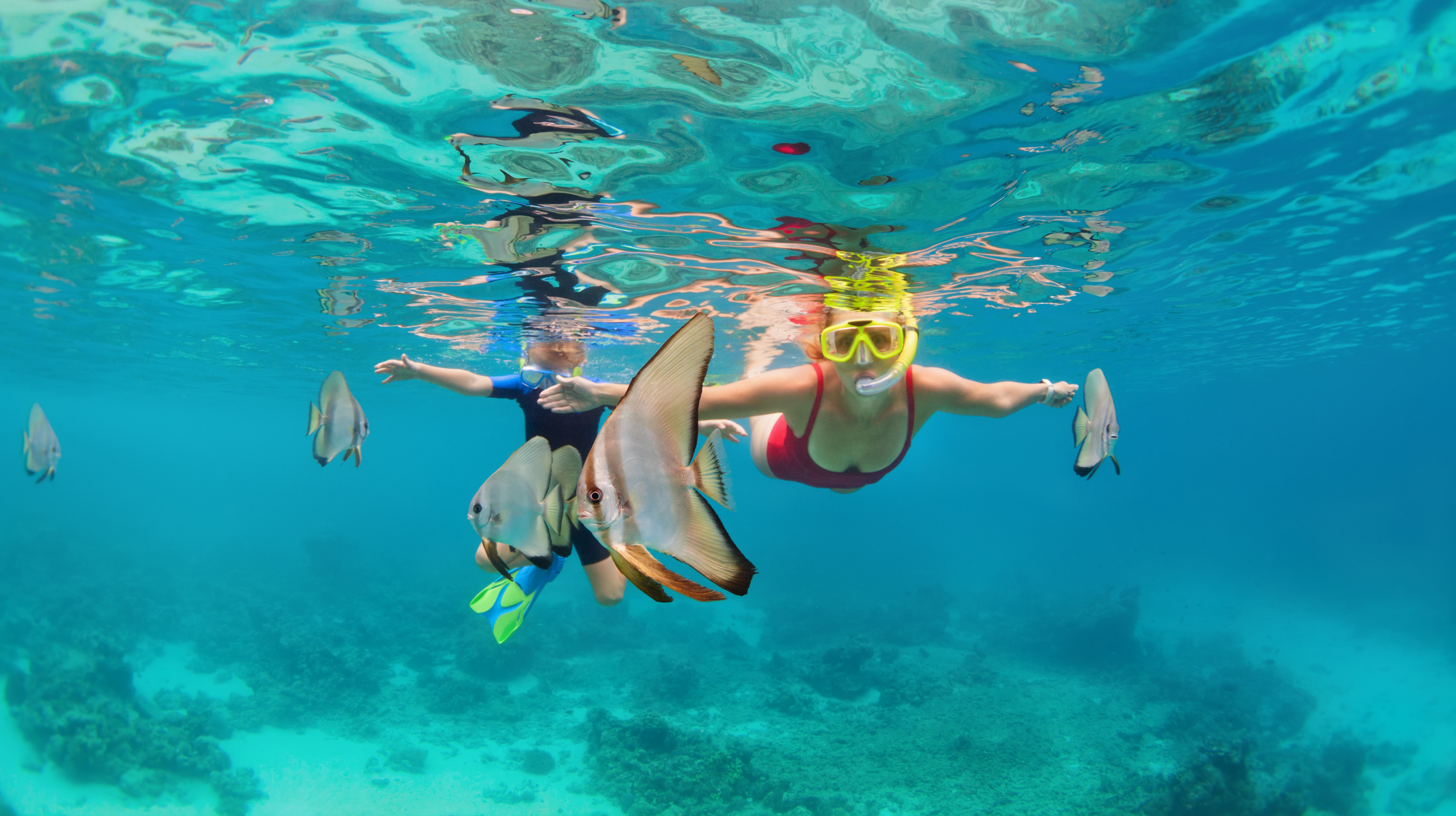 snorkelen menjangan island
