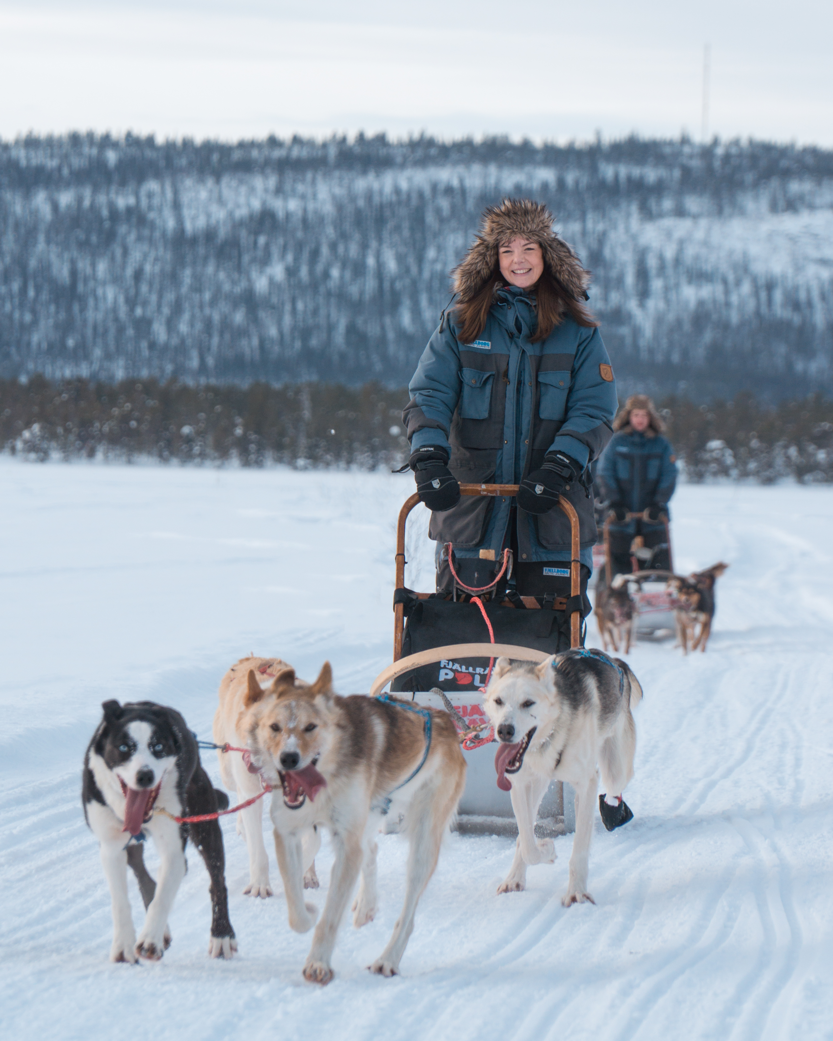 serr0001 zweeds lapland 02